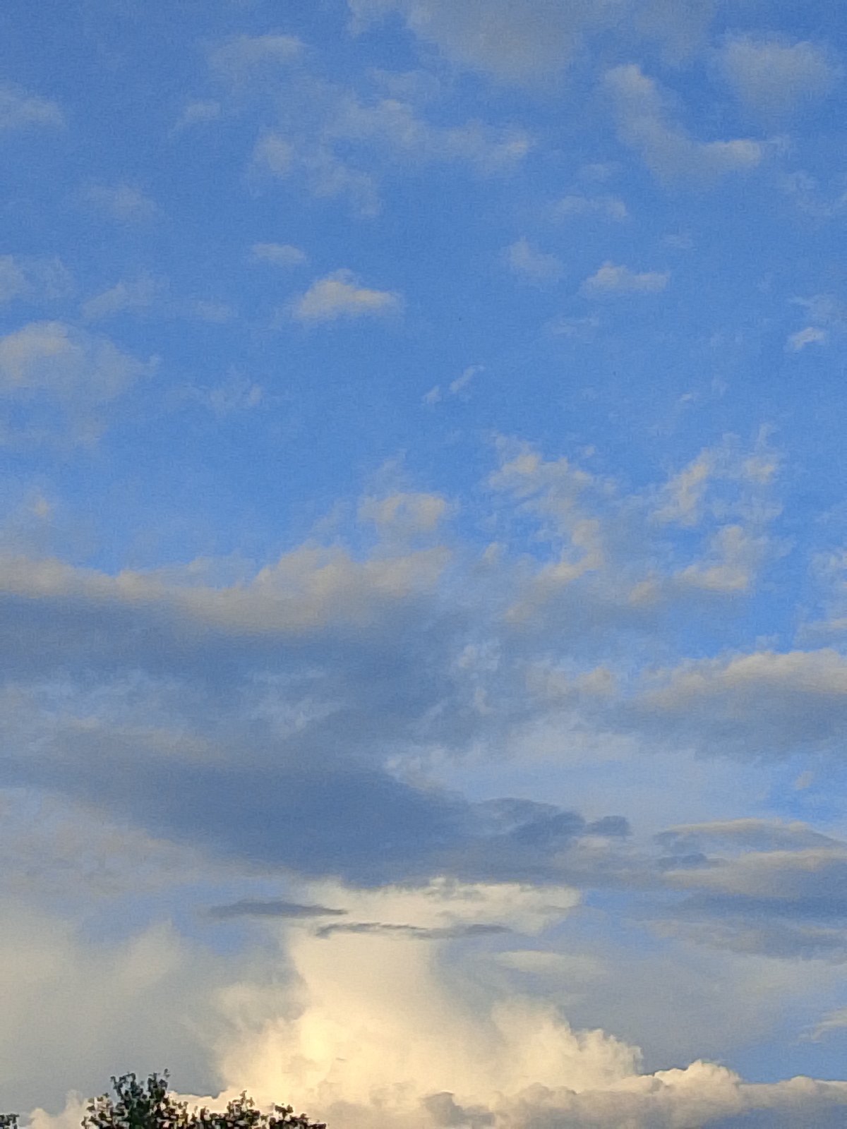 Witnesses document evening sky patterns and everyday moments