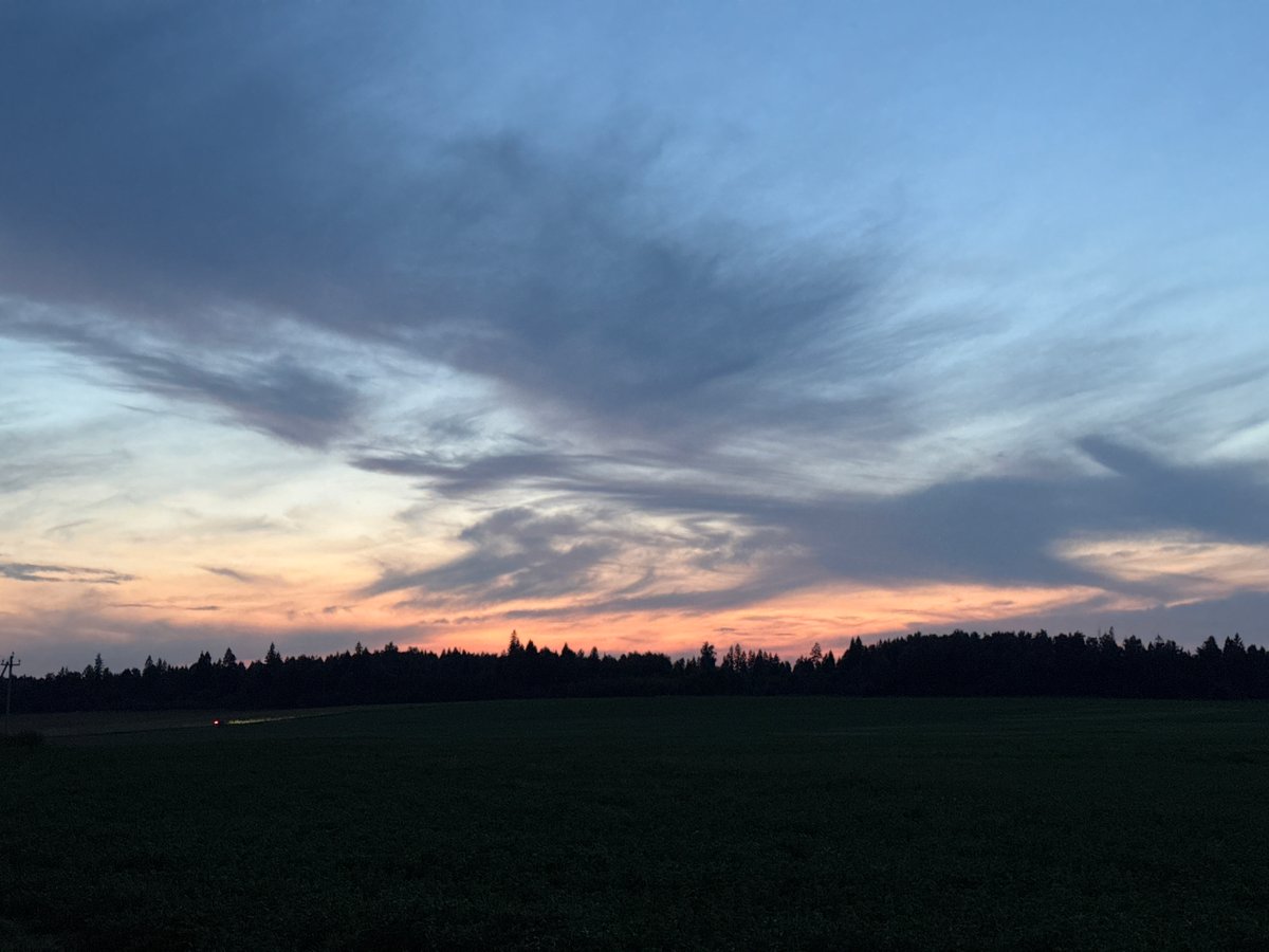 Twilight over fields and forest in rural Russia