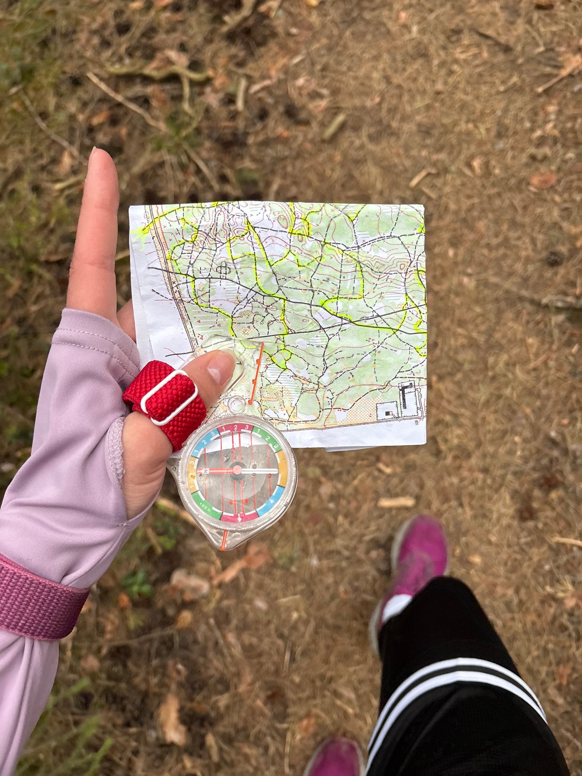 Woman uses map and compass for forest orienteering in Perm
