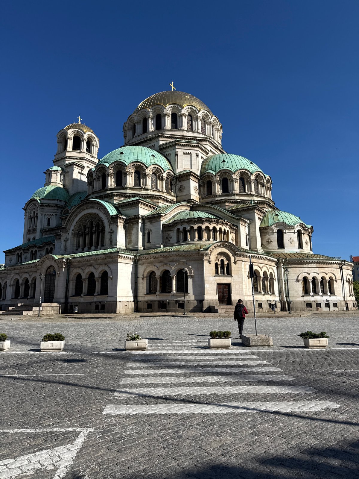 Morning visitor spotted at Alexander Nevsky Cathedral, Sofia