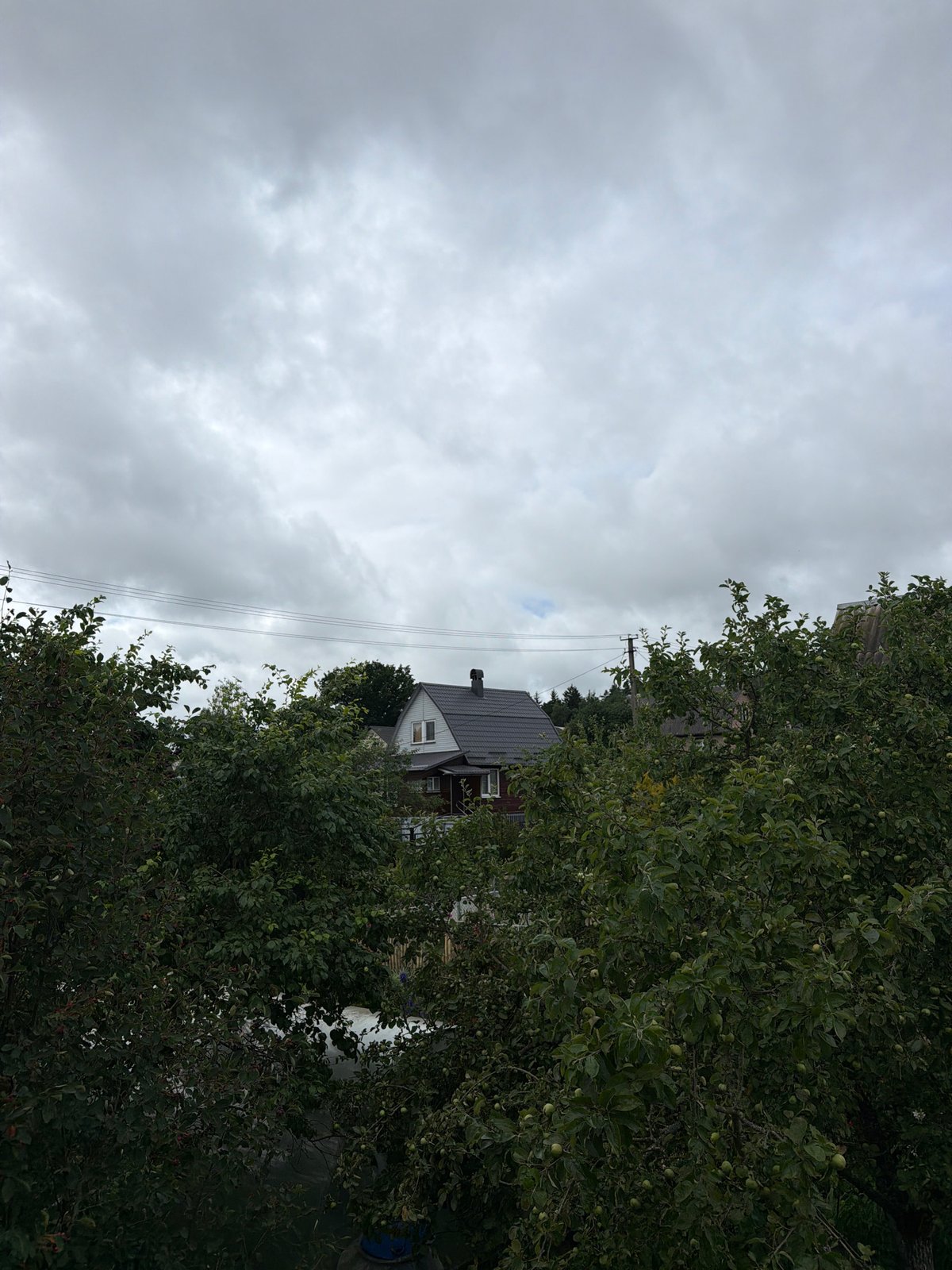 Grey summer morning in a rural Belarusian village