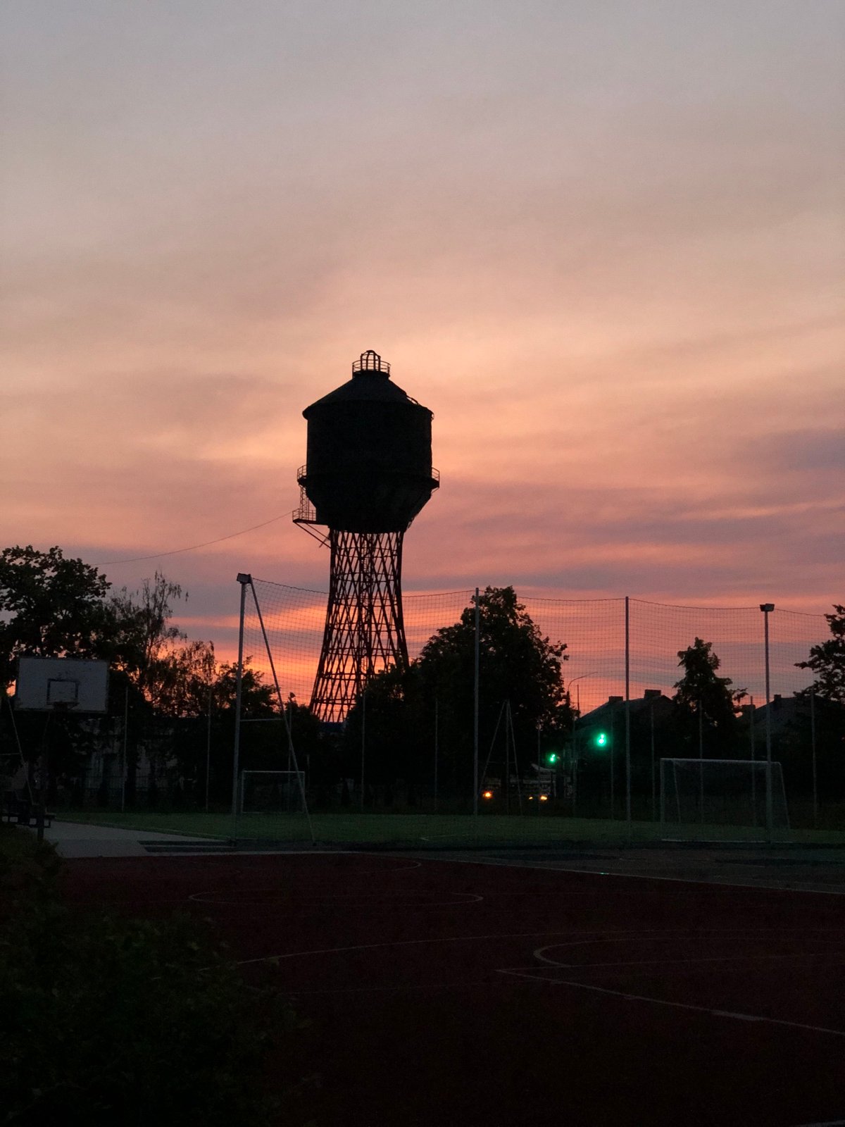 Neighborhood dusk — power lines, water towers, and garden flowers