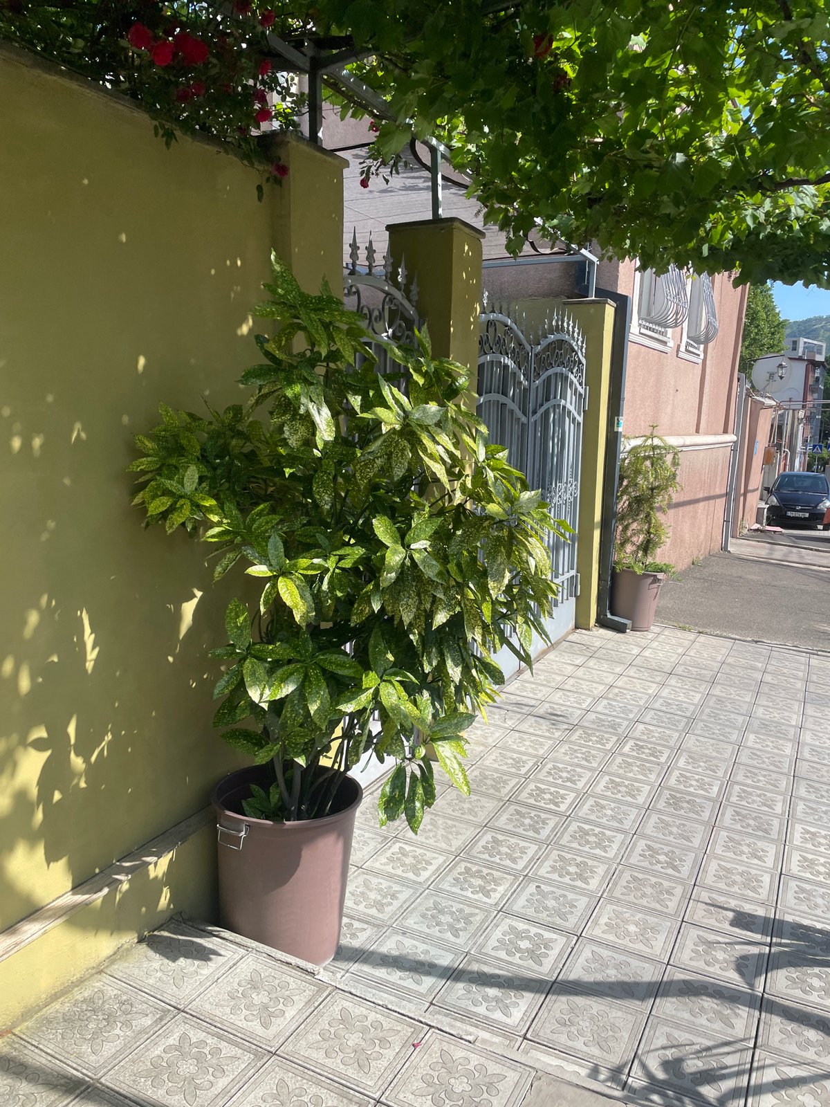Ordinary midday street life documented across Tbilisi