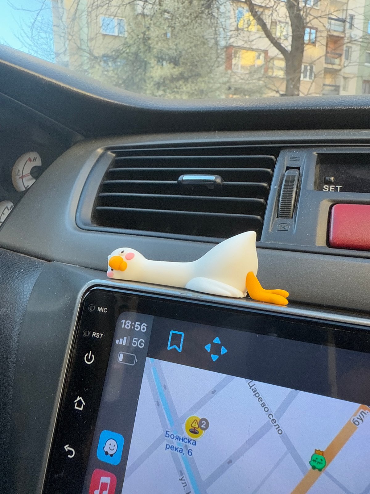 Daily life moments captured across Sofia with car accessories, birds