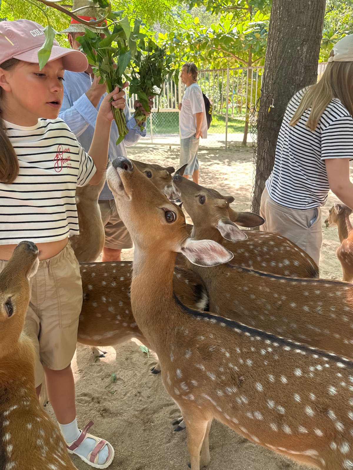 Early morning visit to animal park in Hoa Thang documented