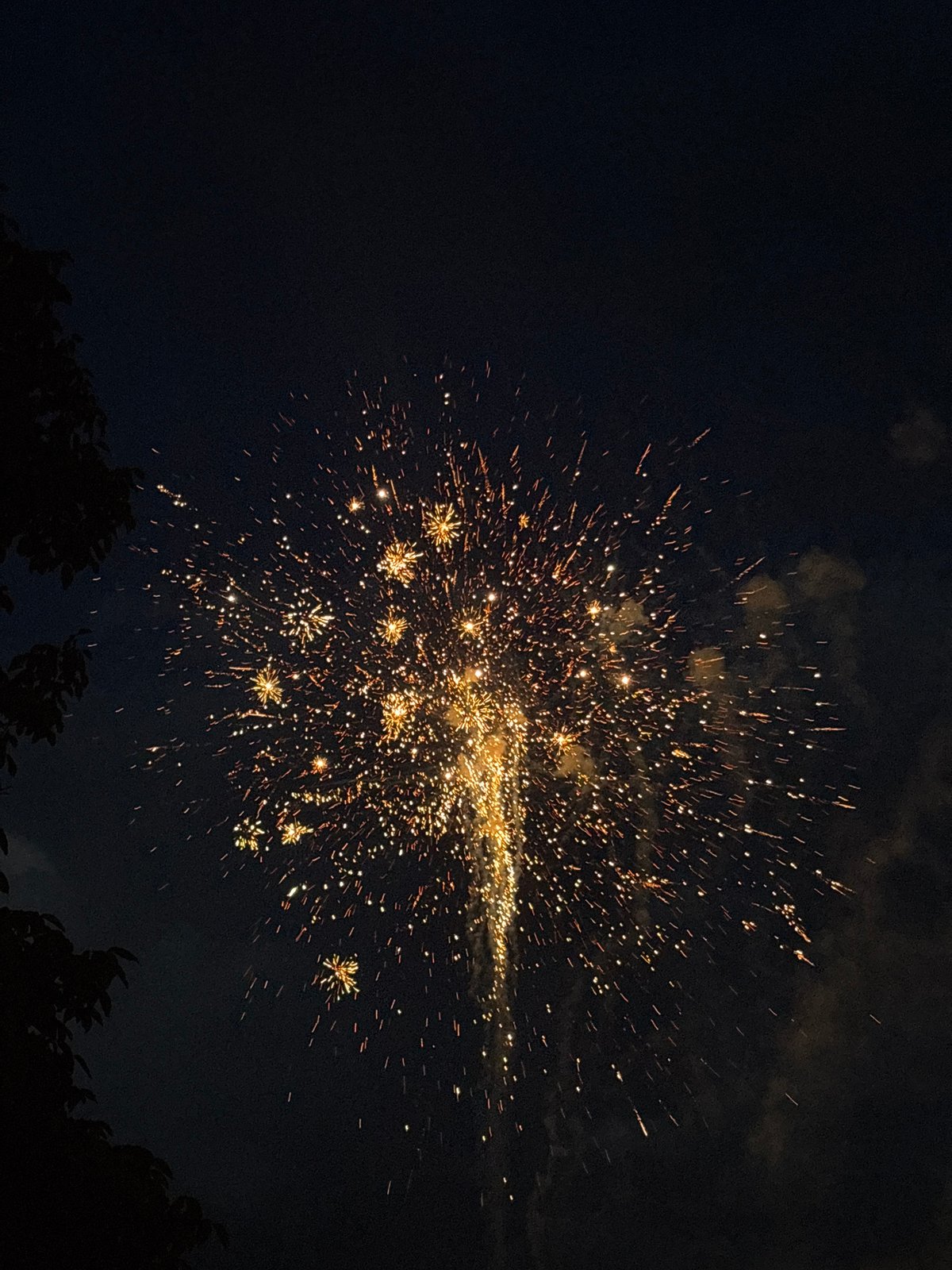 Fireworks Display Lights Up Night Sky in Elin Pelin
