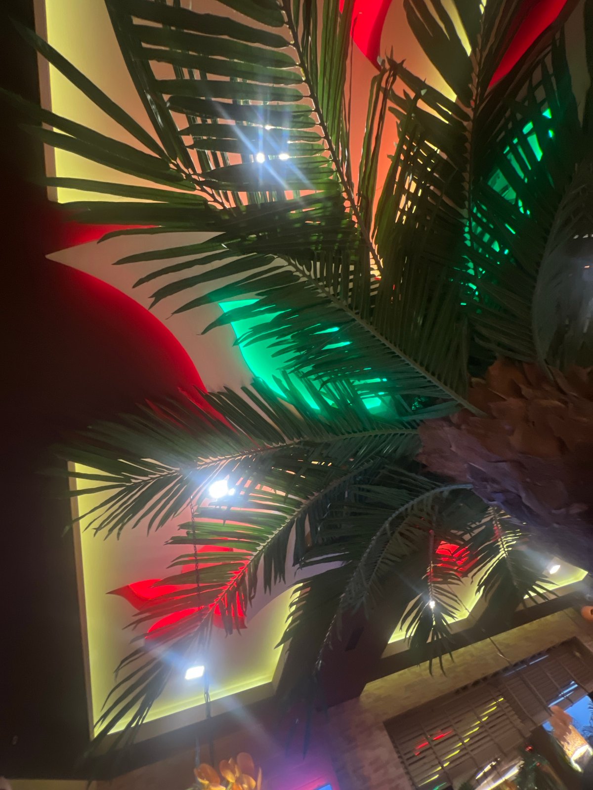 Themed restaurant interior photographed in Sofia, Bulgaria