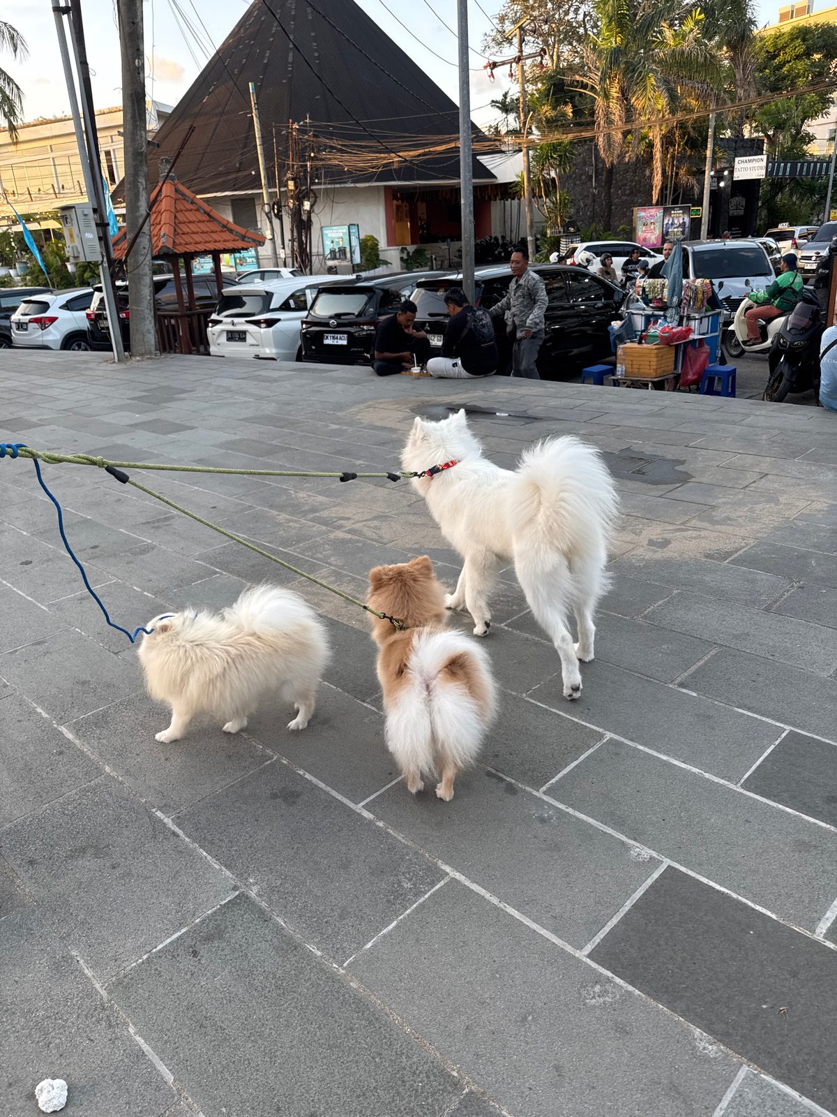 Kuta Beach sunset: dogs, dining, and crowds on the shore