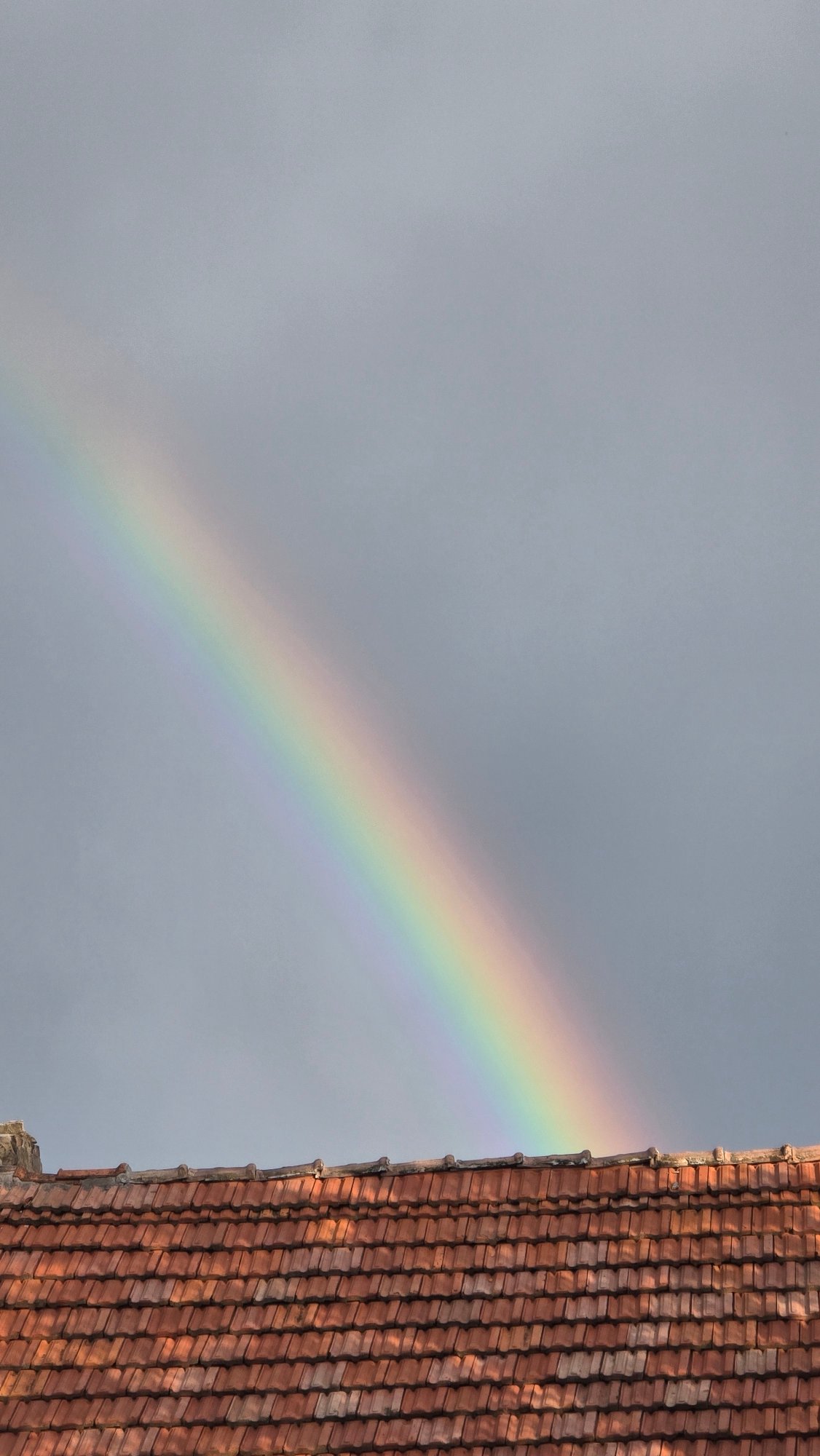 Rainbow arcs over residential Samovodene, Bulgaria