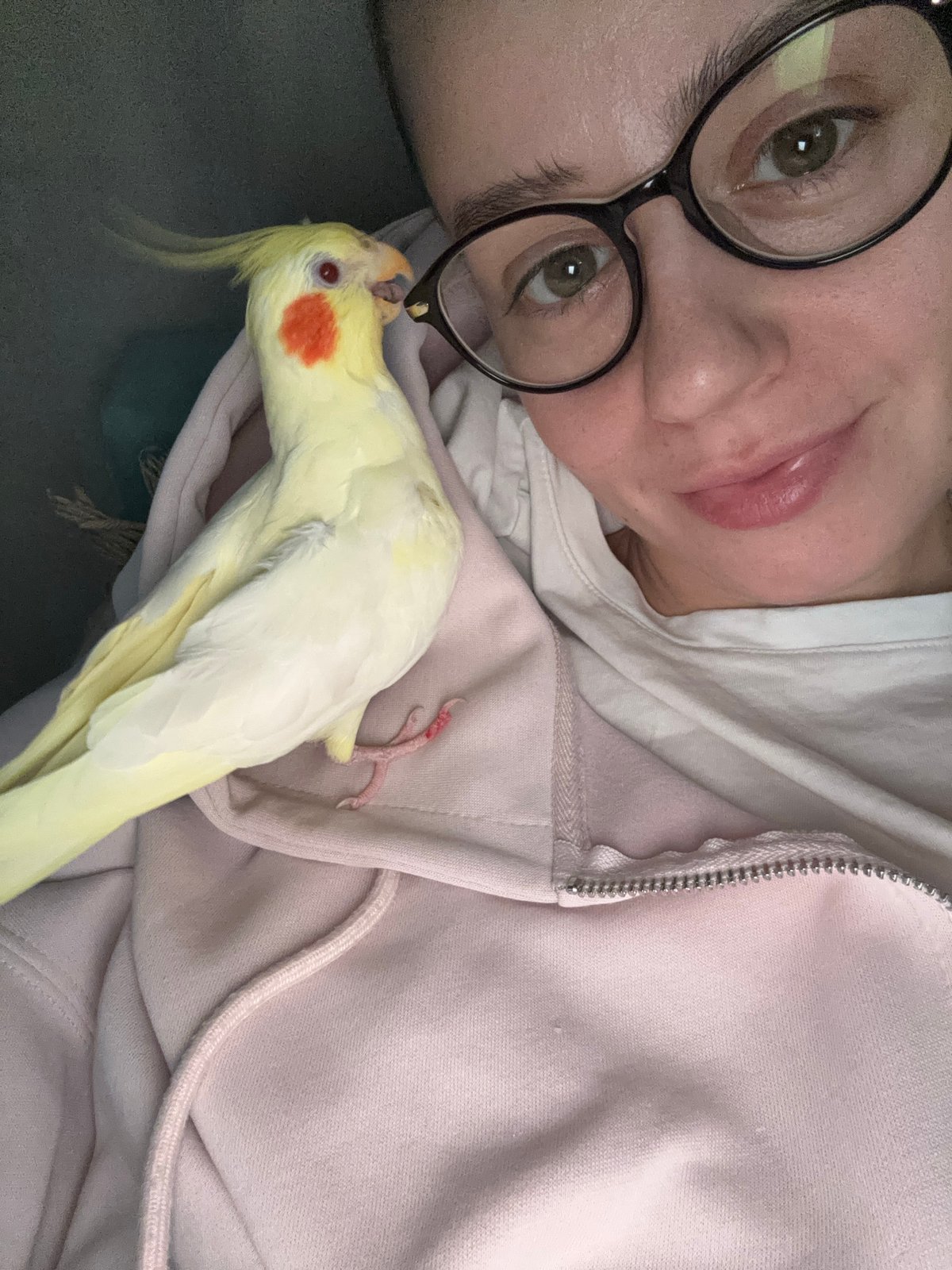 Quiet evening documented in Krasnoyarsk homes with pets, dinner
