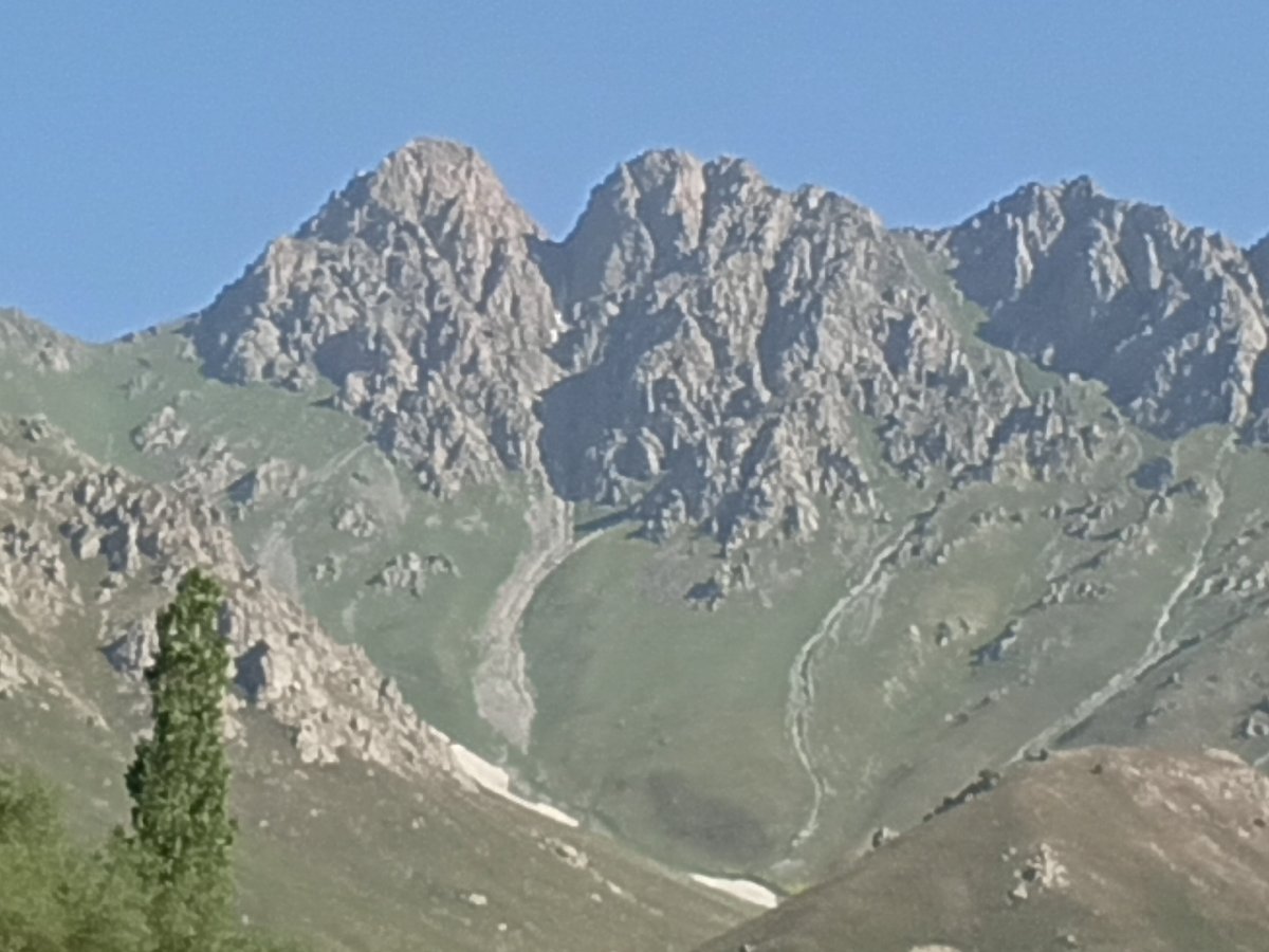 Mountain terrain, wildflowers, and a beehive trailer in rural Tajikistan