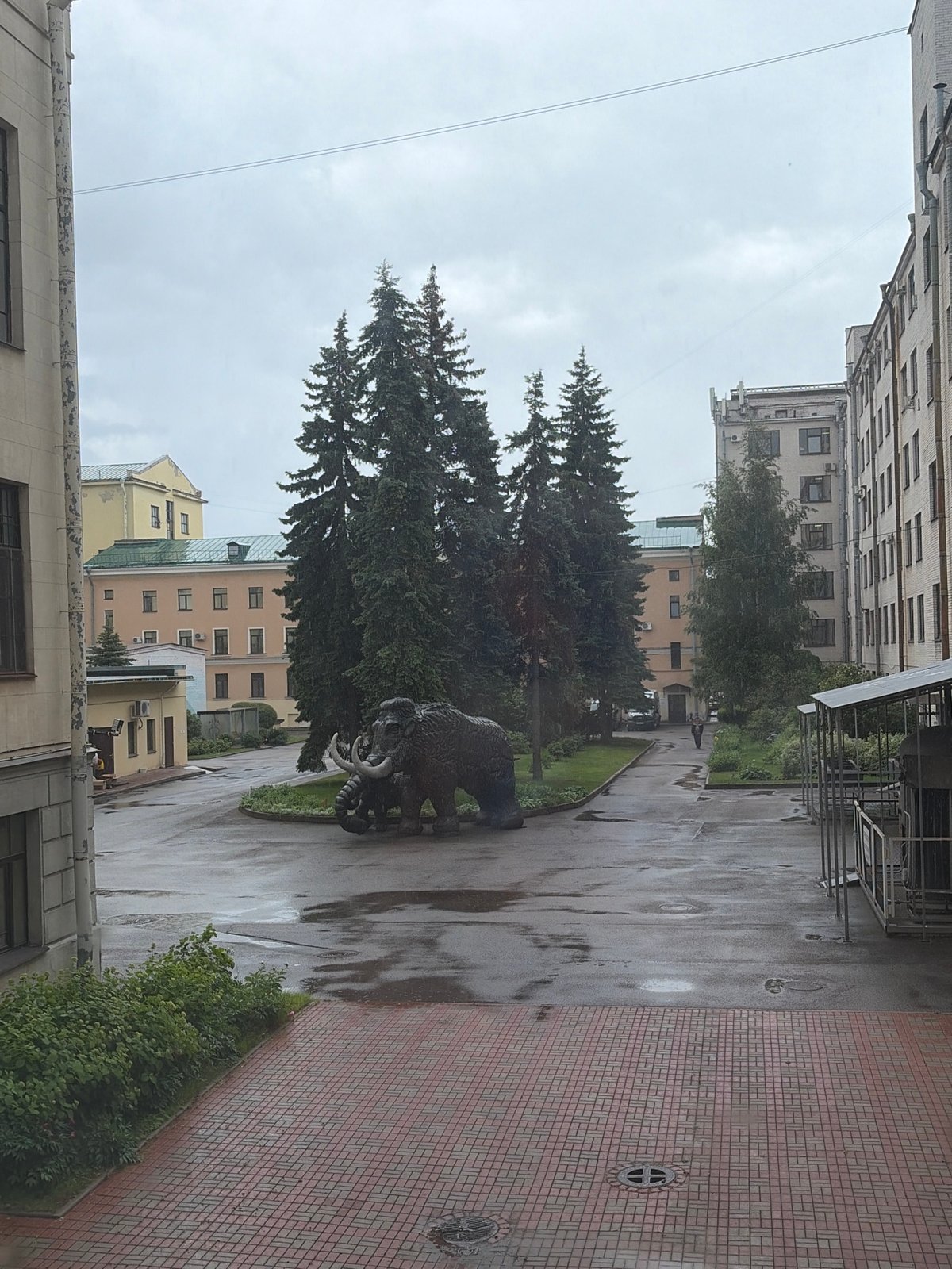 Museum tour through Saint Petersburg's classical architecture and exhibits