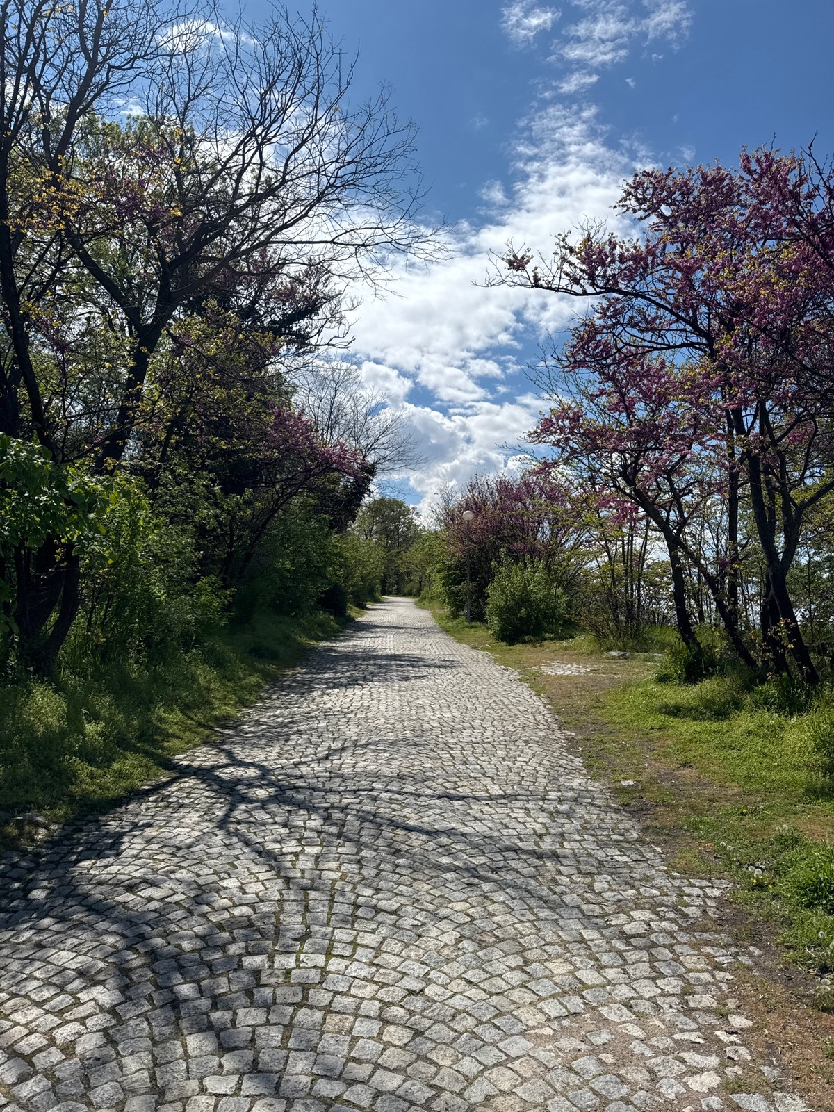 Spring day scenic views captured in Plovdiv, Bulgaria