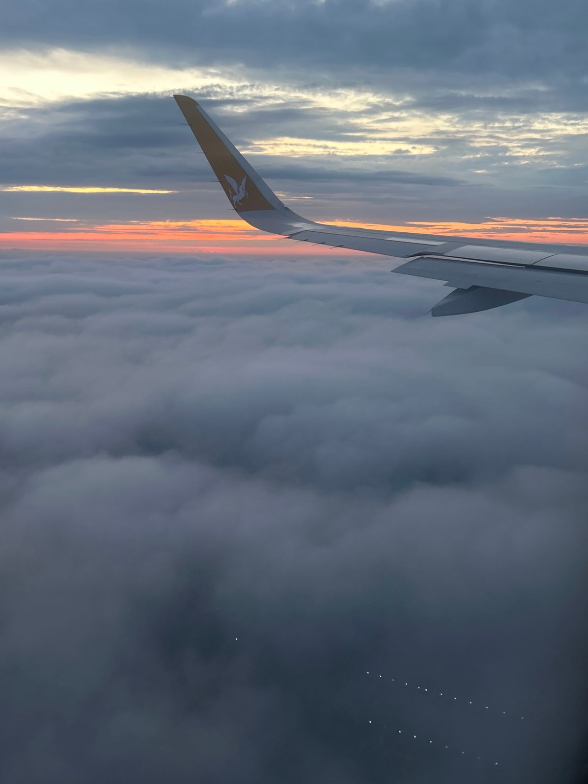 Passenger photographs Pegasus-branded aircraft wing over Saint Petersburg