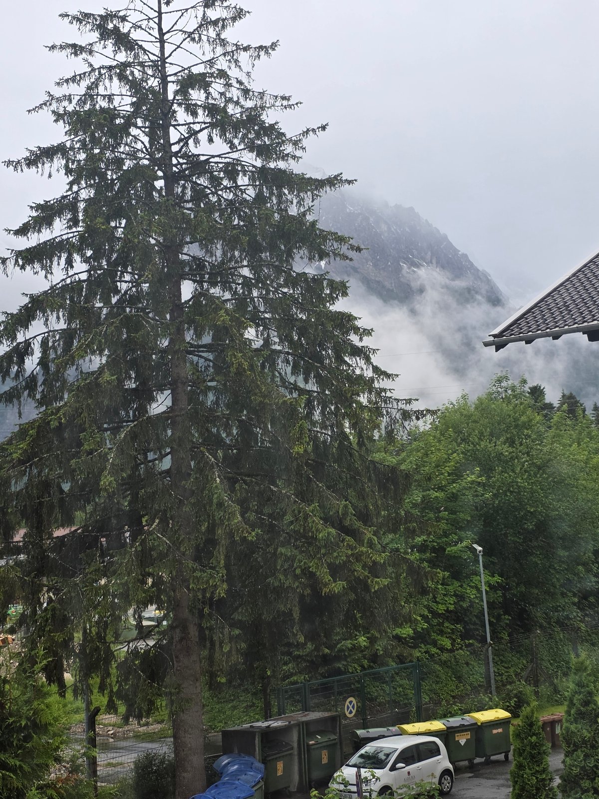 Foggy mountain scene with evergreen tree and parked car documented