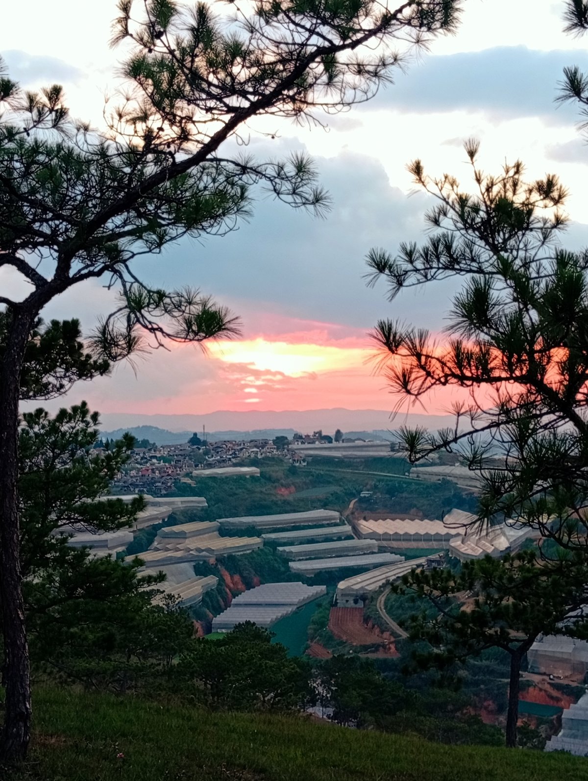 Sunset views captured over Lạc Dương hillsides and pine forests
