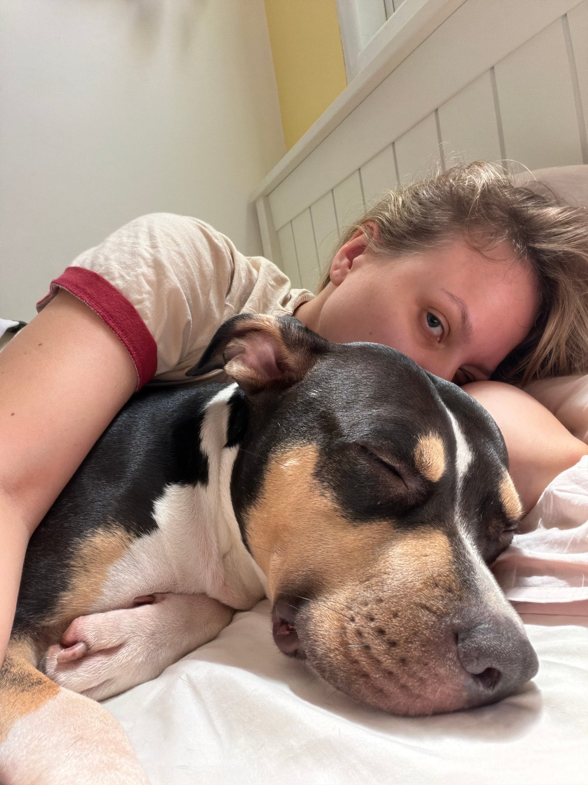 Person cuddles with tricolor dog in Tel Aviv home