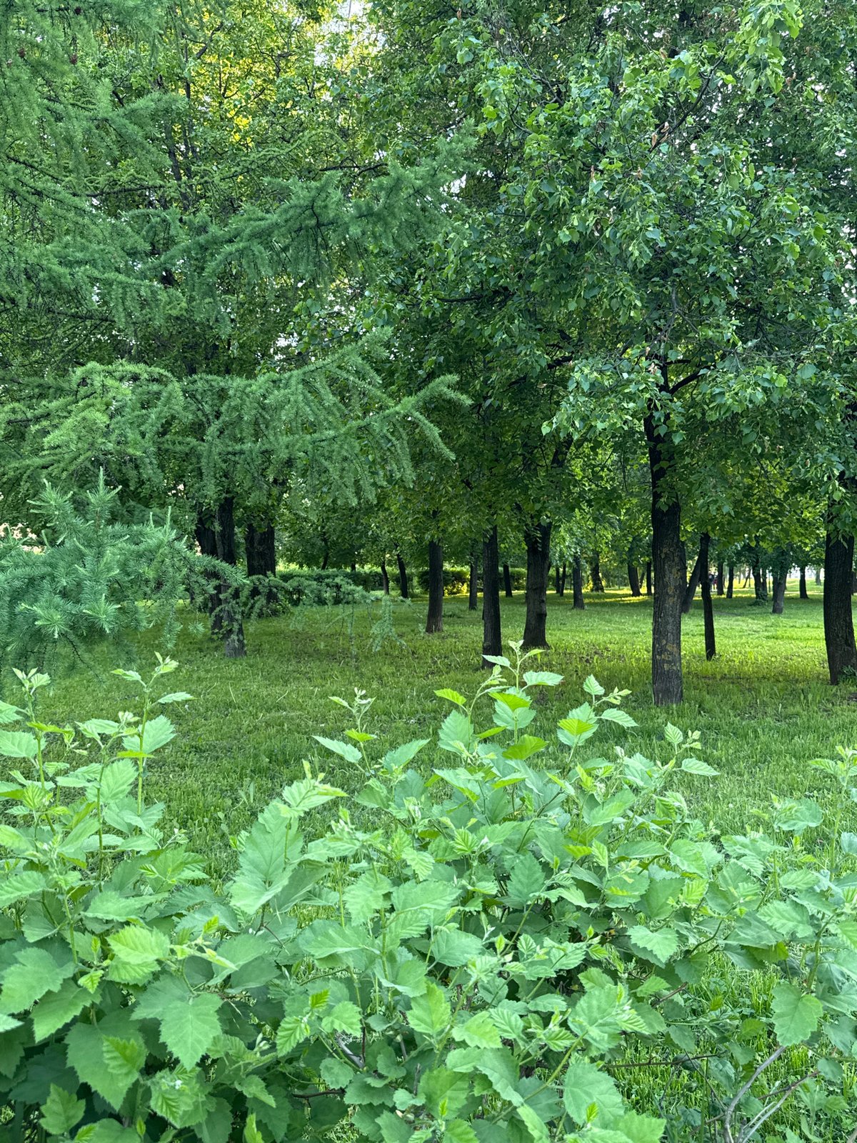 Quiet afternoon moments captured in Dolgoprudny suburb