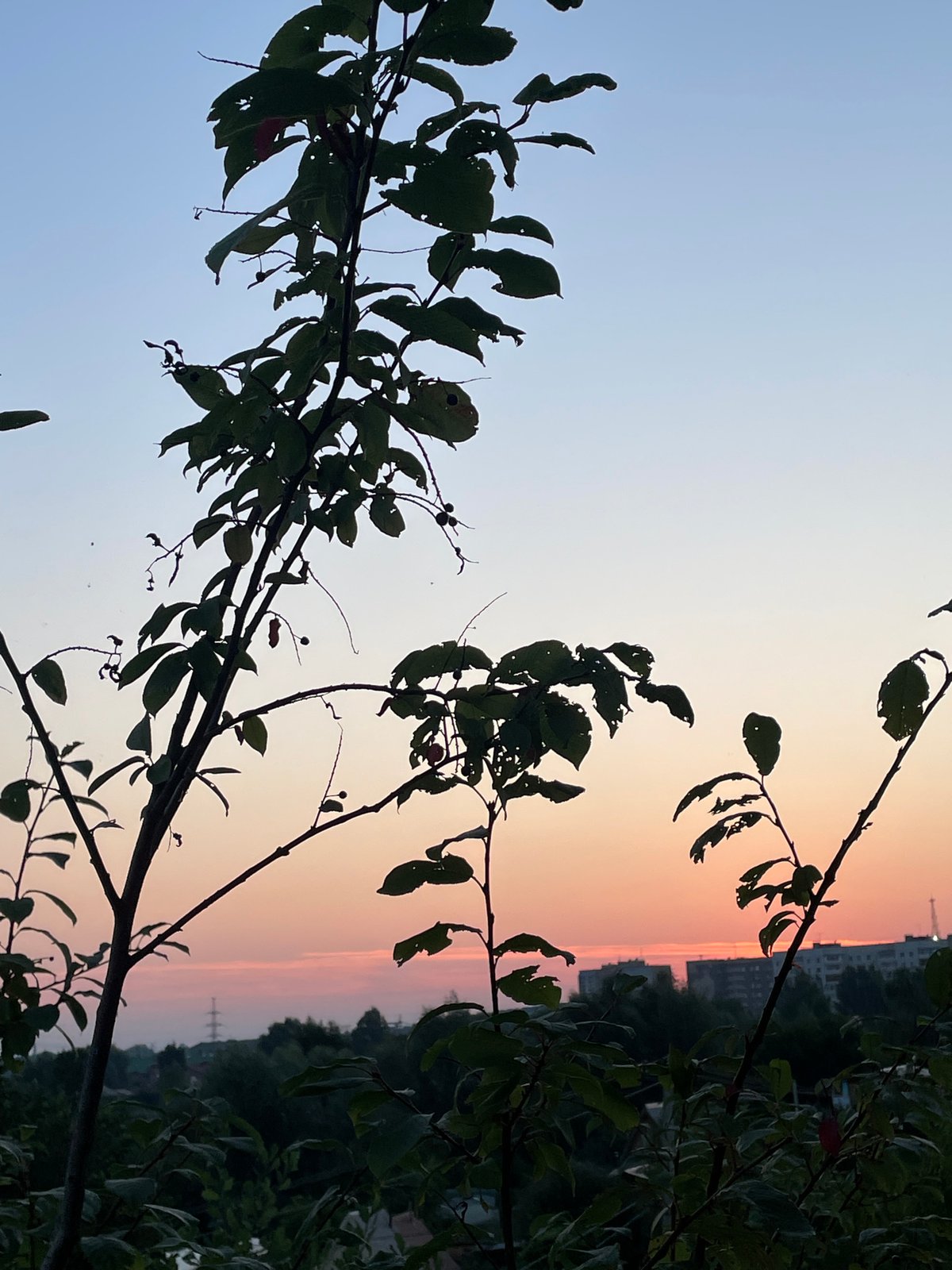 Sunset over Chaikovsky, with a cat watching from the windowsill