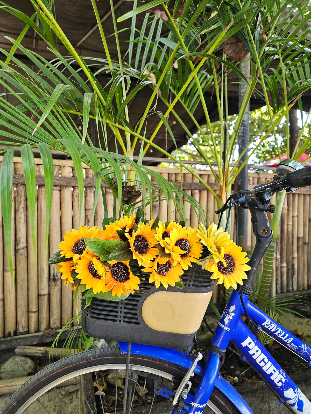 Everyday coastal life documented across Denpasar beaches and pathways