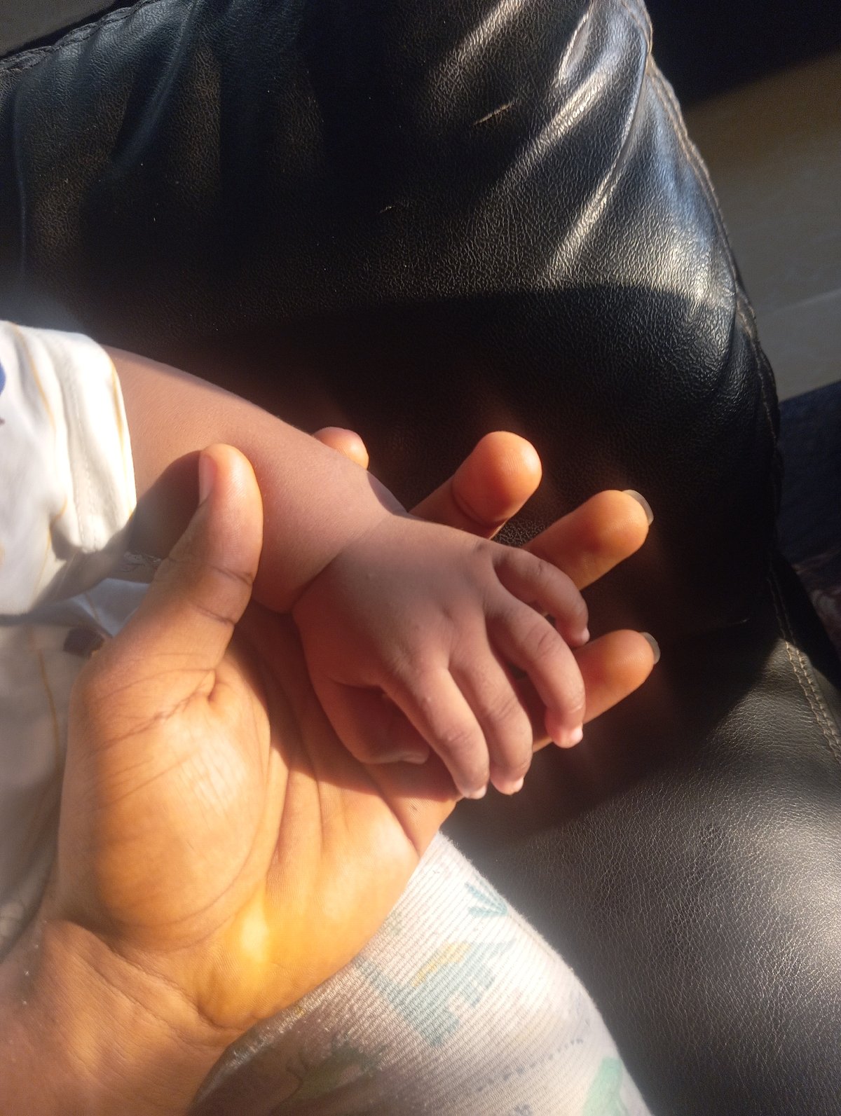 Tender domestic moments captured during morning hours