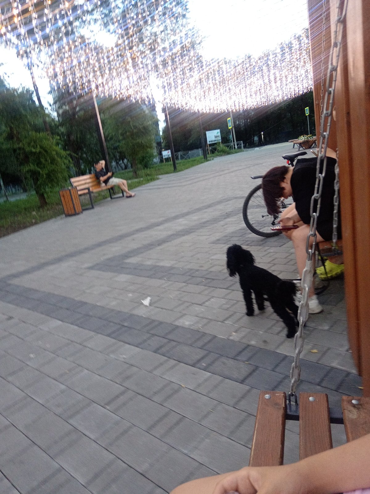 Relaxed summer evening in a Belogorsk park strung with fairy lights