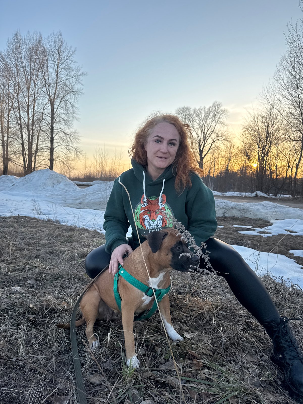 Woman walks boxer dog in spring landscape in Chaikovsky