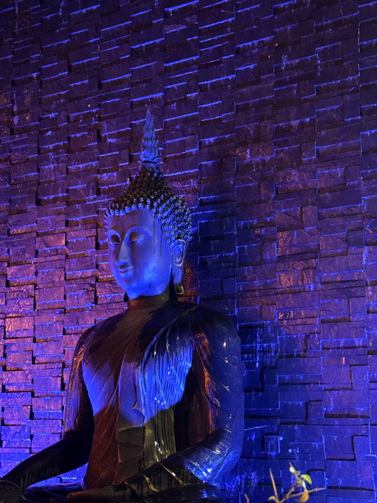 Buddha statues observed in atmospheric settings in Baan Lamai