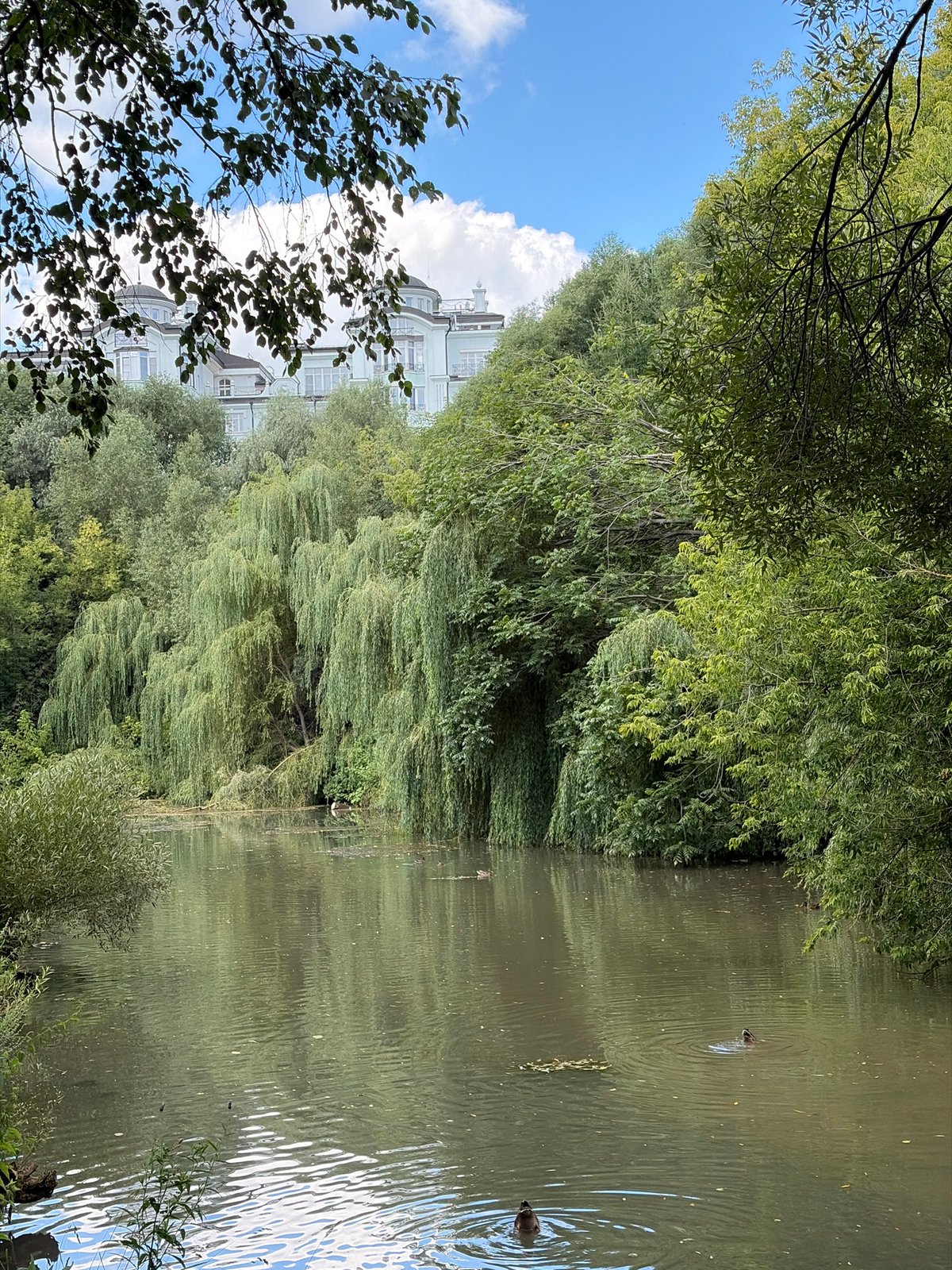 Summer morning in Khimki's parks and waterways