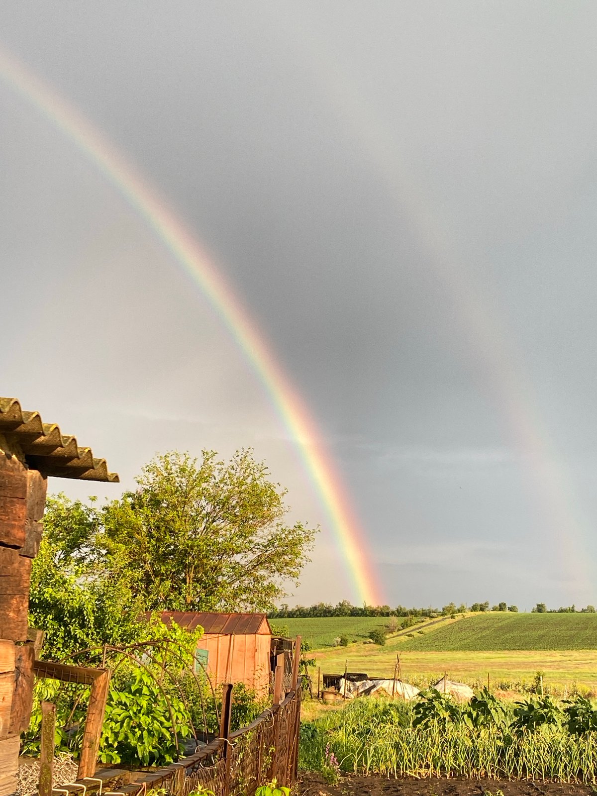 Double rainbow appears over rural farmland during overcast afternoon