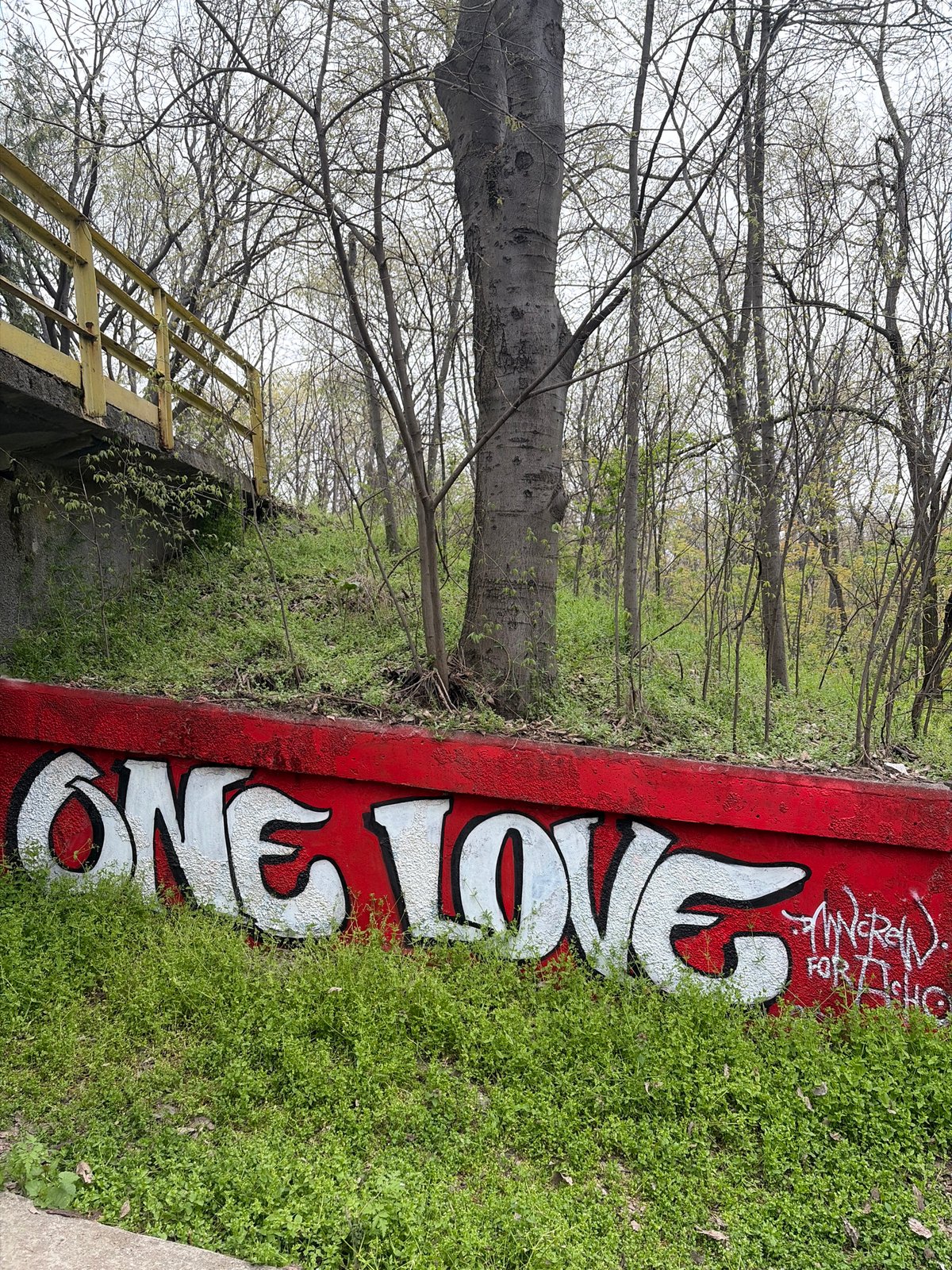 Morning walk through spring awakening park documented in Plovdiv