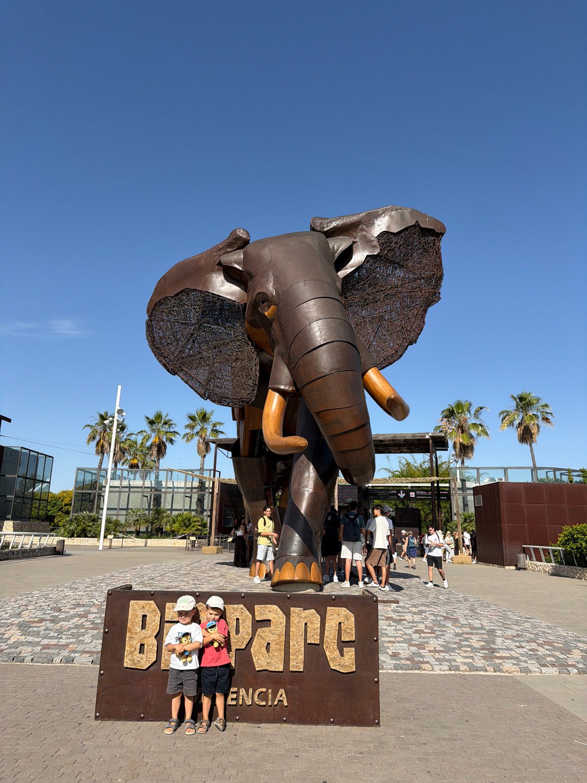 Morning visit to Bioparc Valencia, flamingo viewing and zoo walkthrough