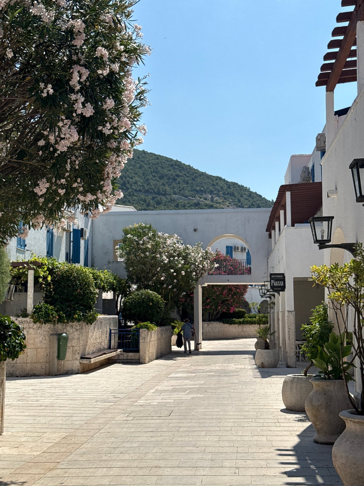 Sunny morning stroll through Budva's coastal promenade and hillside views