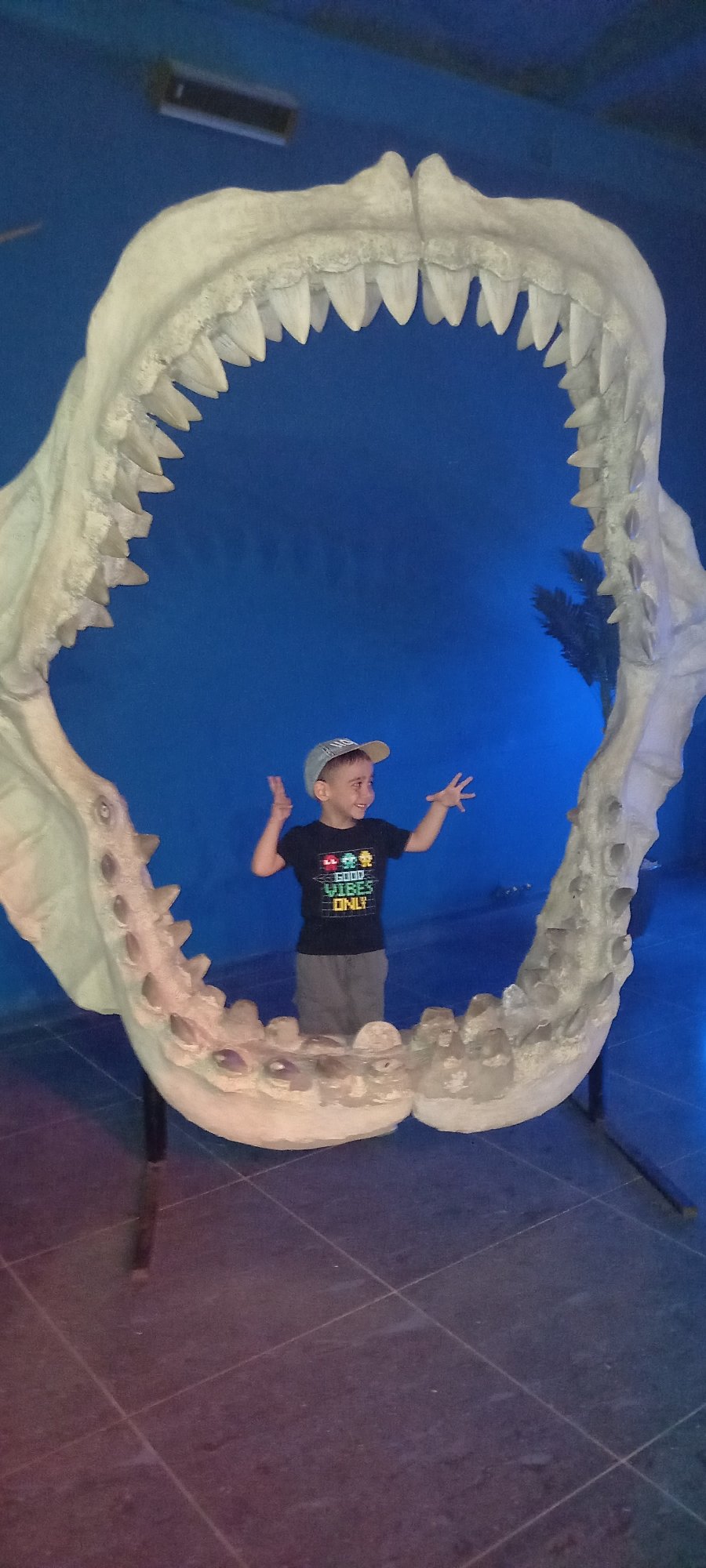 Family visits public aquarium in Krasnodar, Russia morning