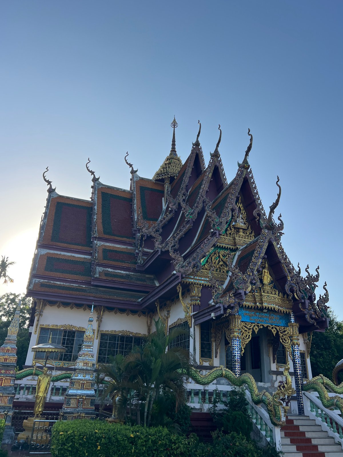 Temple grounds and lazy dogs on a Ko Samui morning