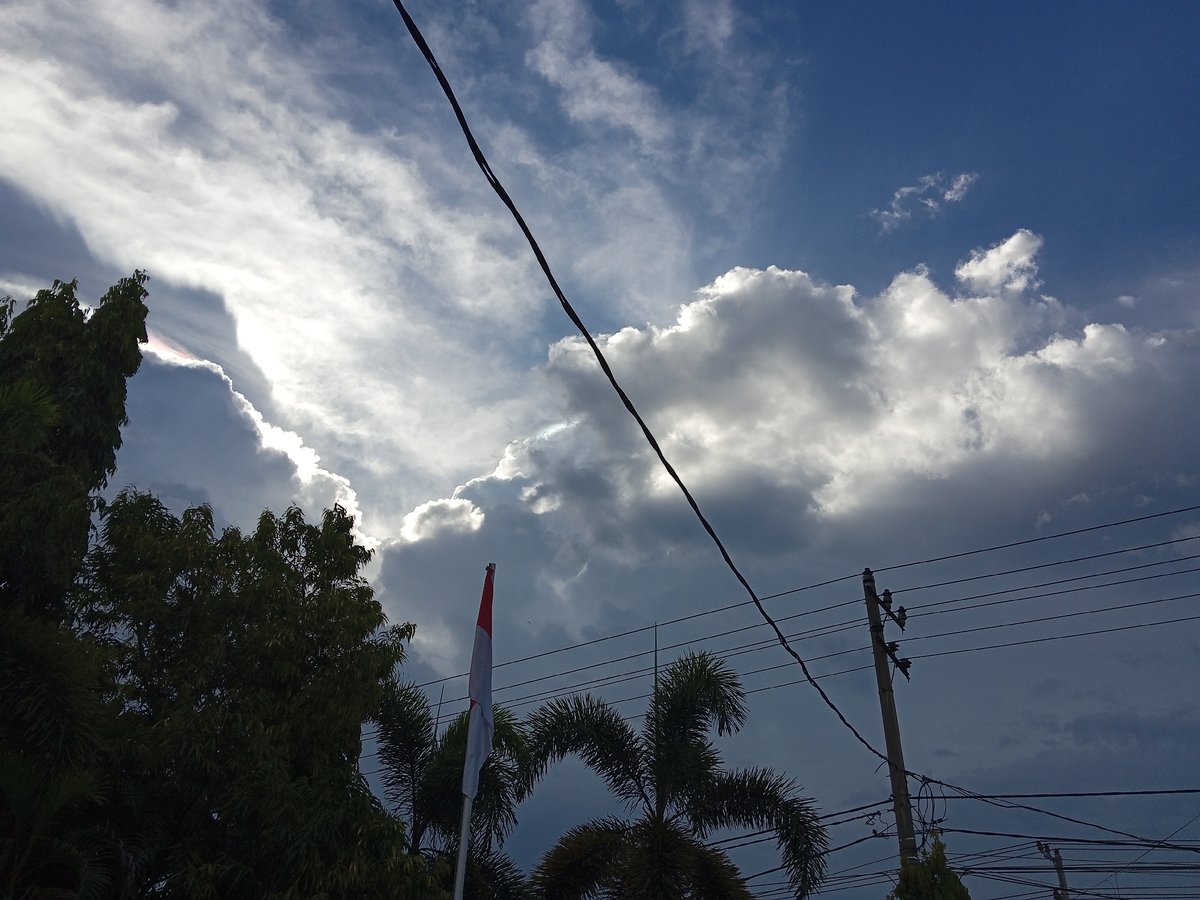 Morning observations of plants and skies in Bireuen, Indonesia