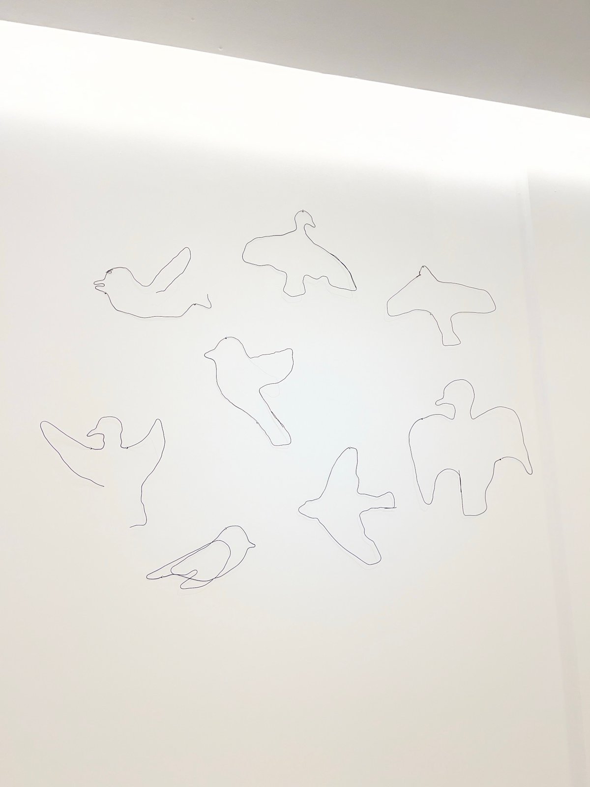 Art gallery showcases bird drawings and wire sculptures in Buenos Aires