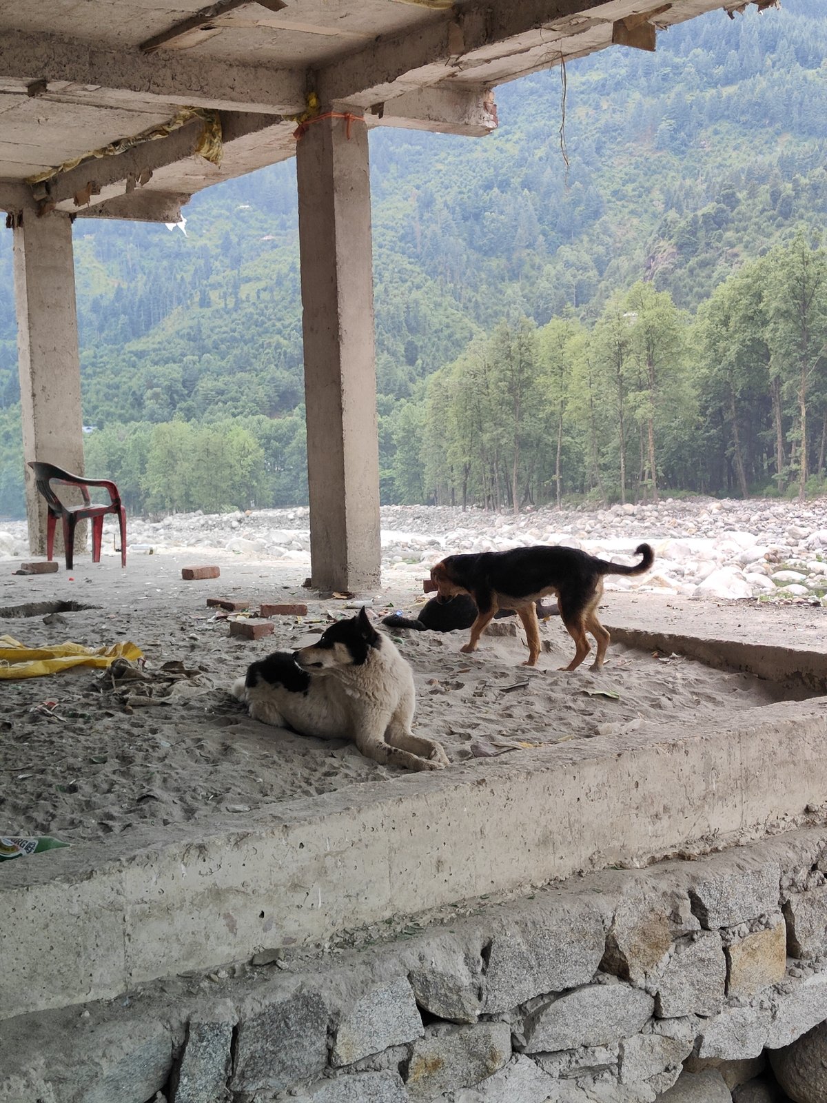 Early morning scenes documented around Bahang river and bridge area