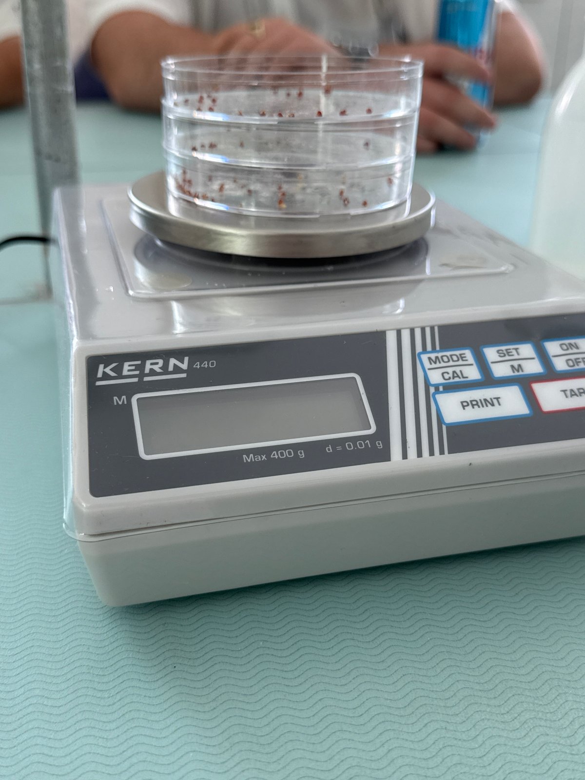 Scientific weighing activity observed at Sofia building