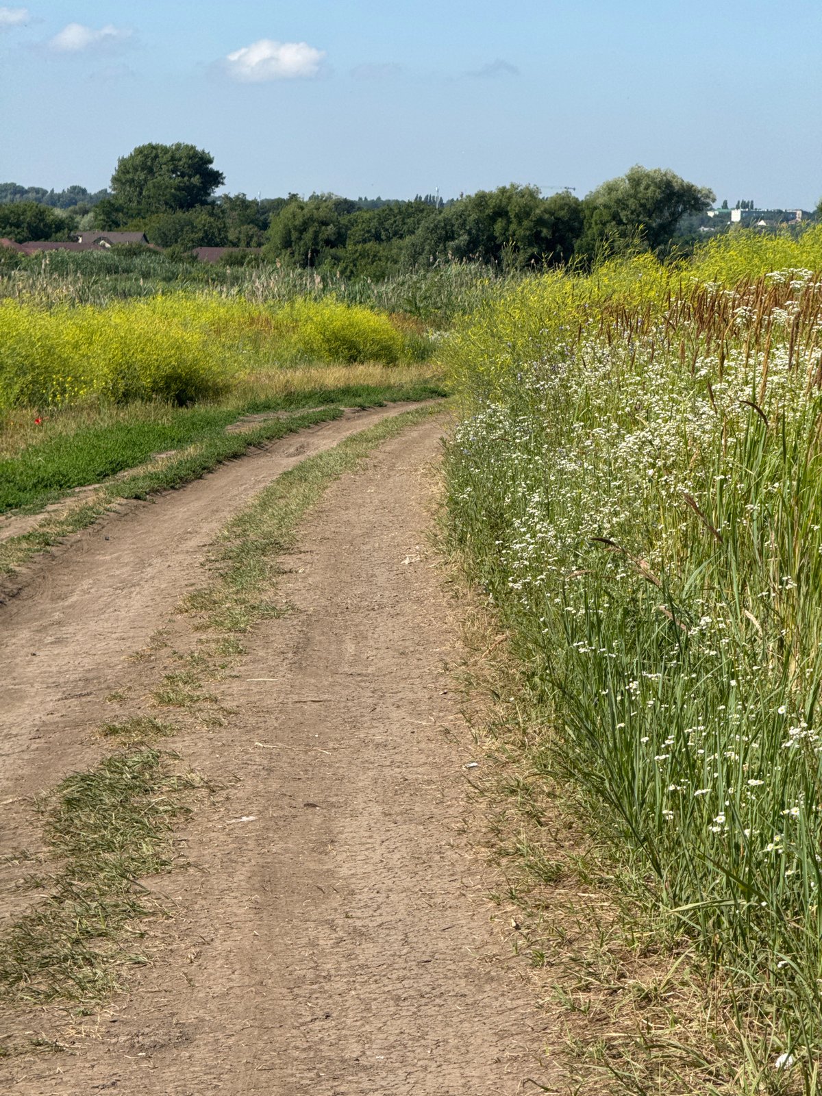 Summer fishing trip through rural Mikhaylovsk grasslands