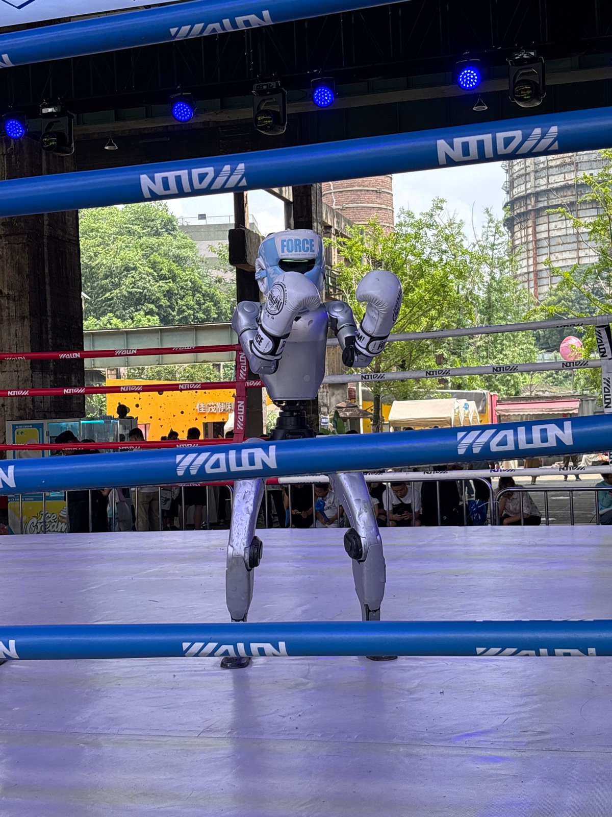 Boxing and humanoid robots on display in Dadukou, China