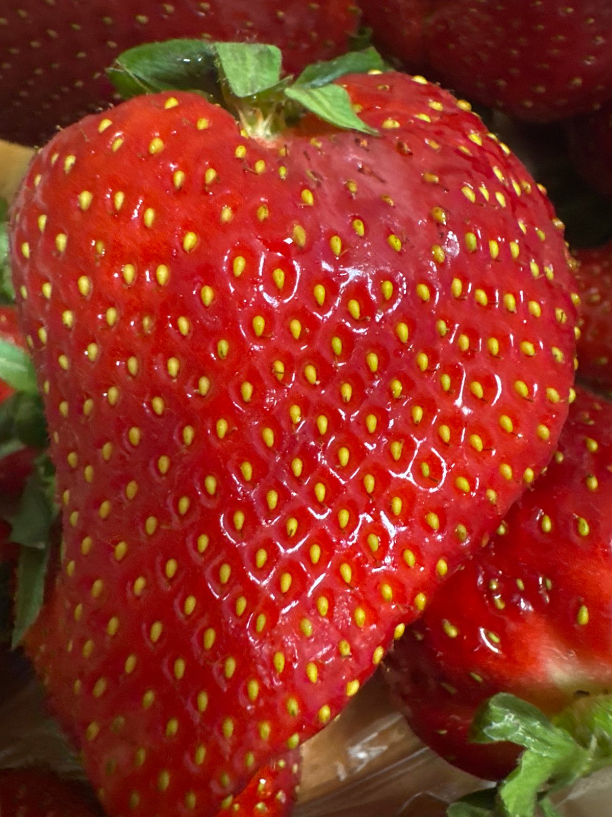 Ripe strawberries observed in Chaikovsky, Russia