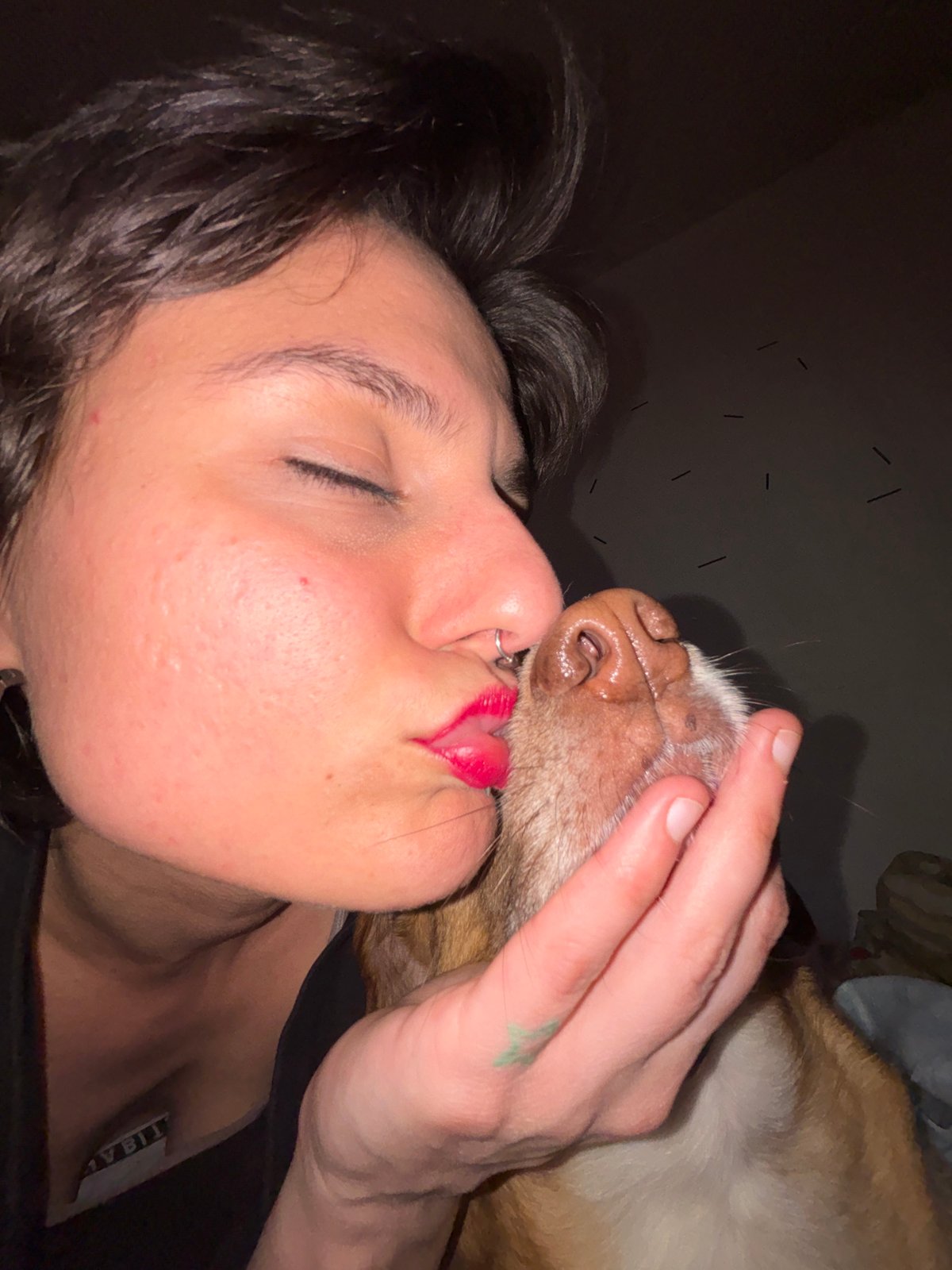 Person leaves lipstick kisses on dog in Sofia fabric shop