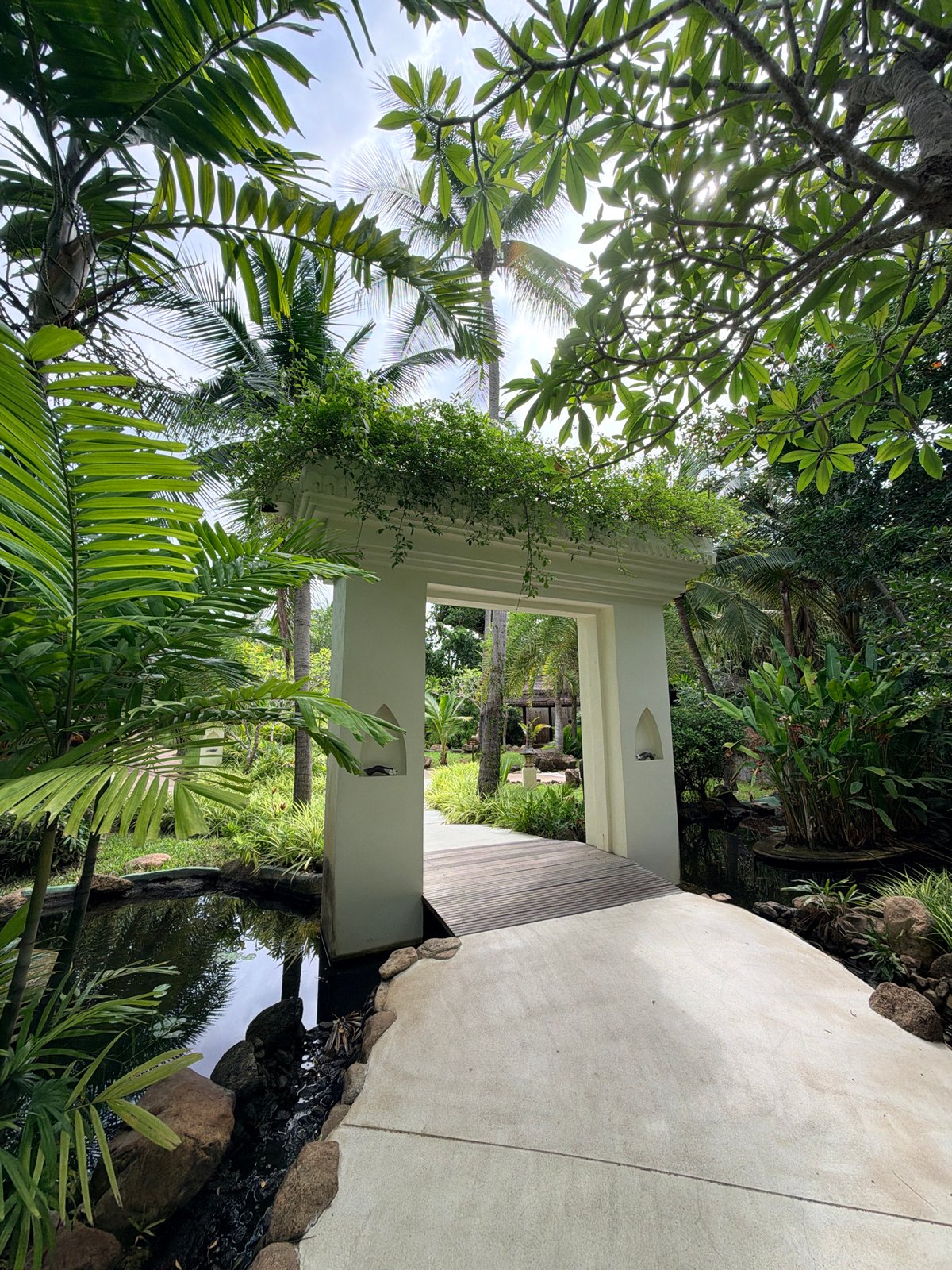 Flowing black robe through a lush Ko Samui garden