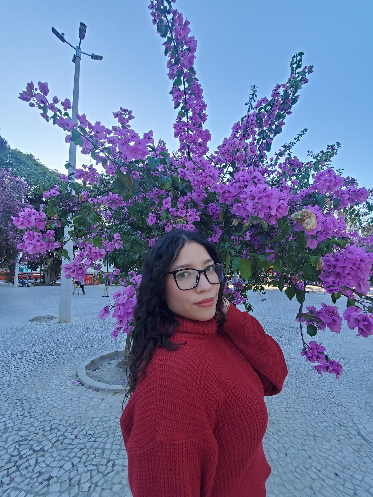 Evening documentation of Curitiba's urban landscape and flowering trees