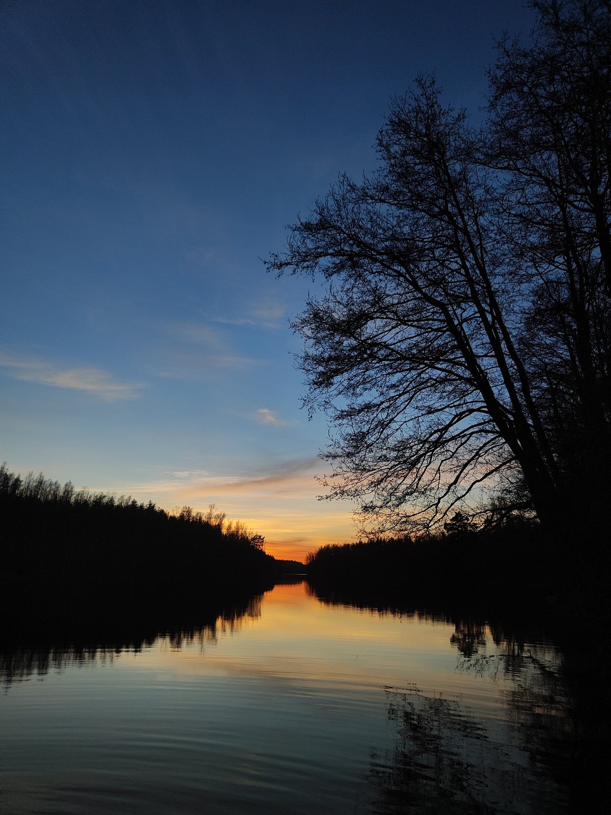 Twilight gathering documented with cake, walking figure, waterside scenes