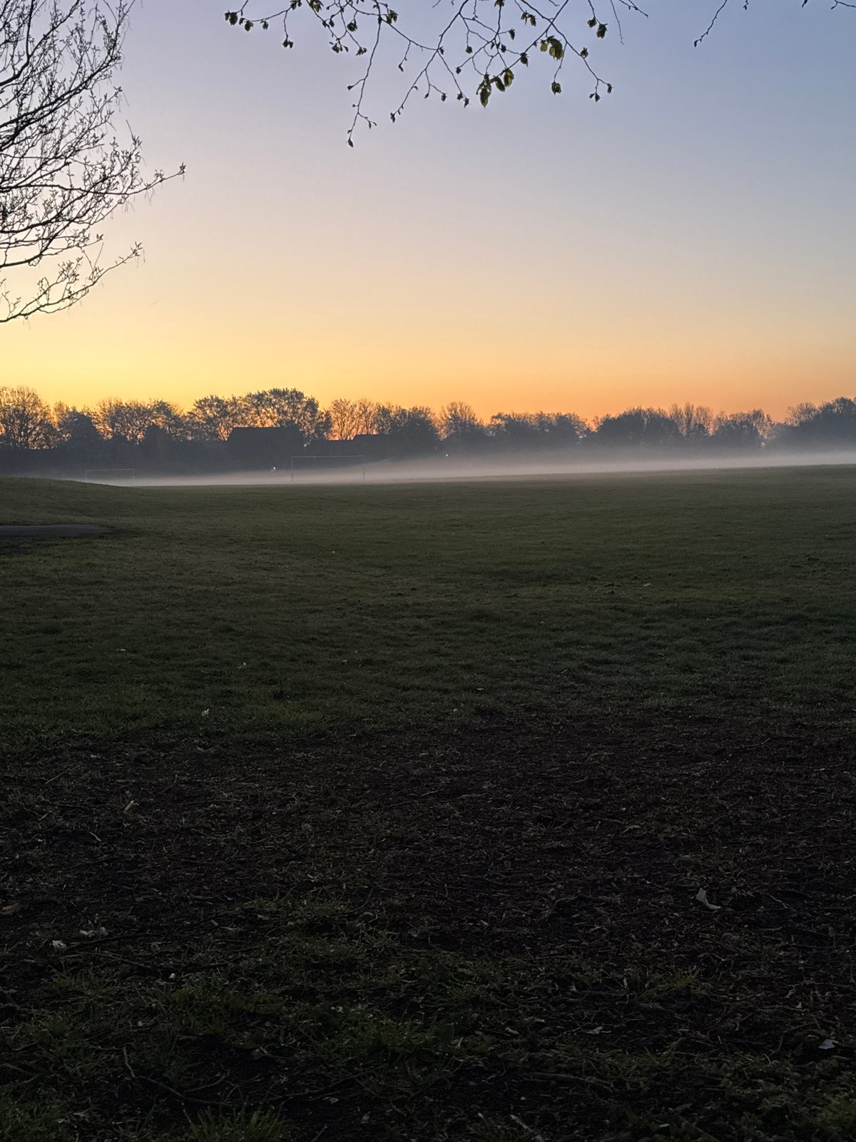 London field photographed at dawn with fog and colorful sky