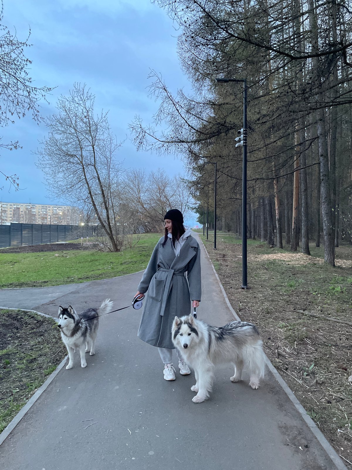 Person walks two dogs in Izhevsk park