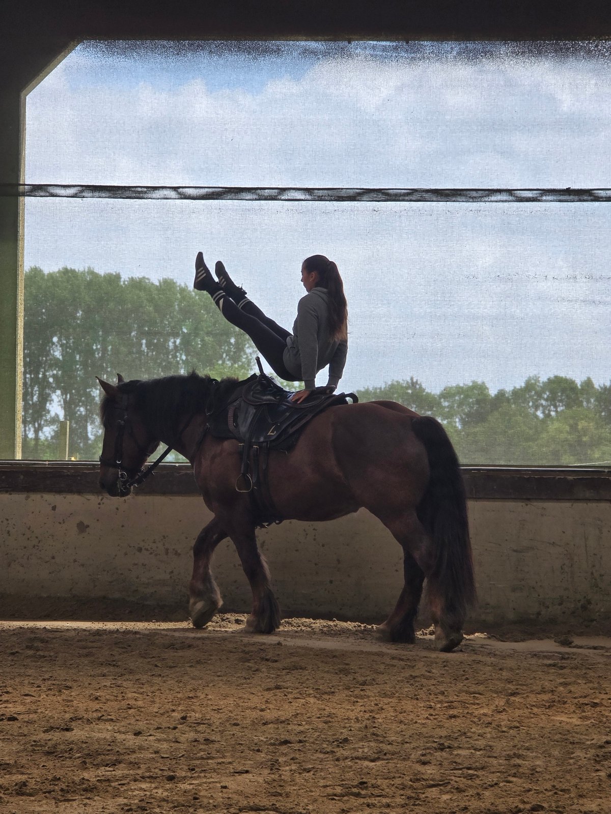 Equestrian performs trick riding in Belgian indoor arena