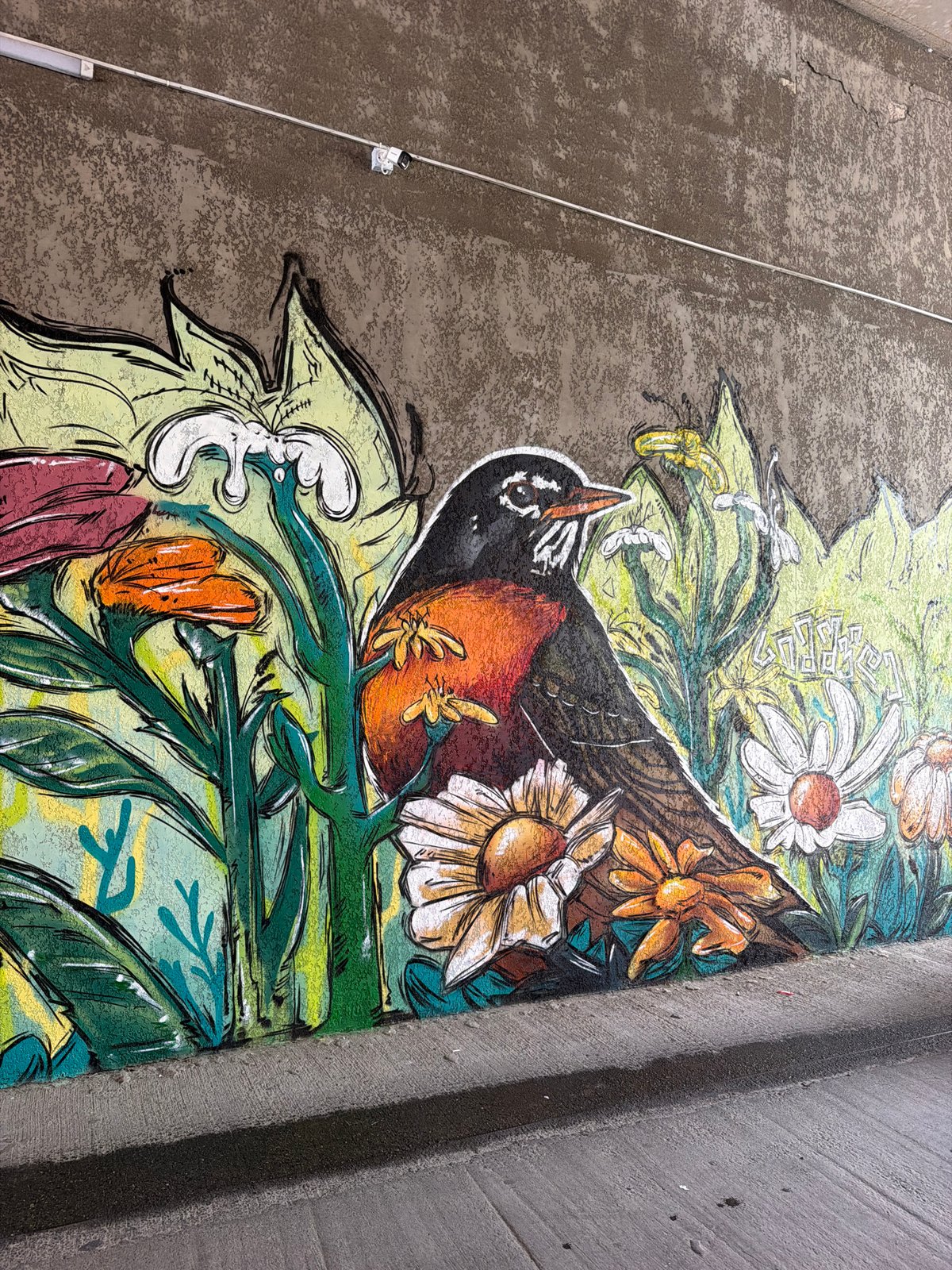 Street murals along a Batumi wall mix nature and cityscape themes